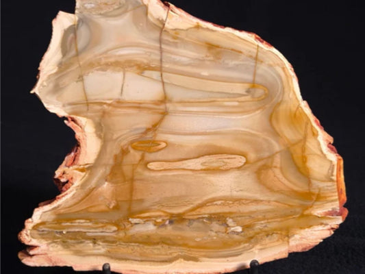 Camooweal Dolostone (Chert) Microbial Nodules: A Window into Earth's Ancient Past