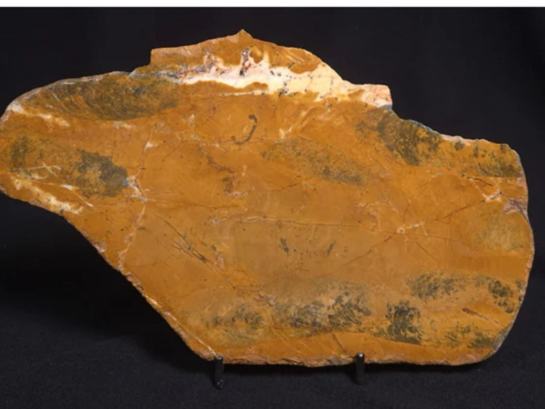 Stromatolite Pilbaria perplexa: A Window into Early Life