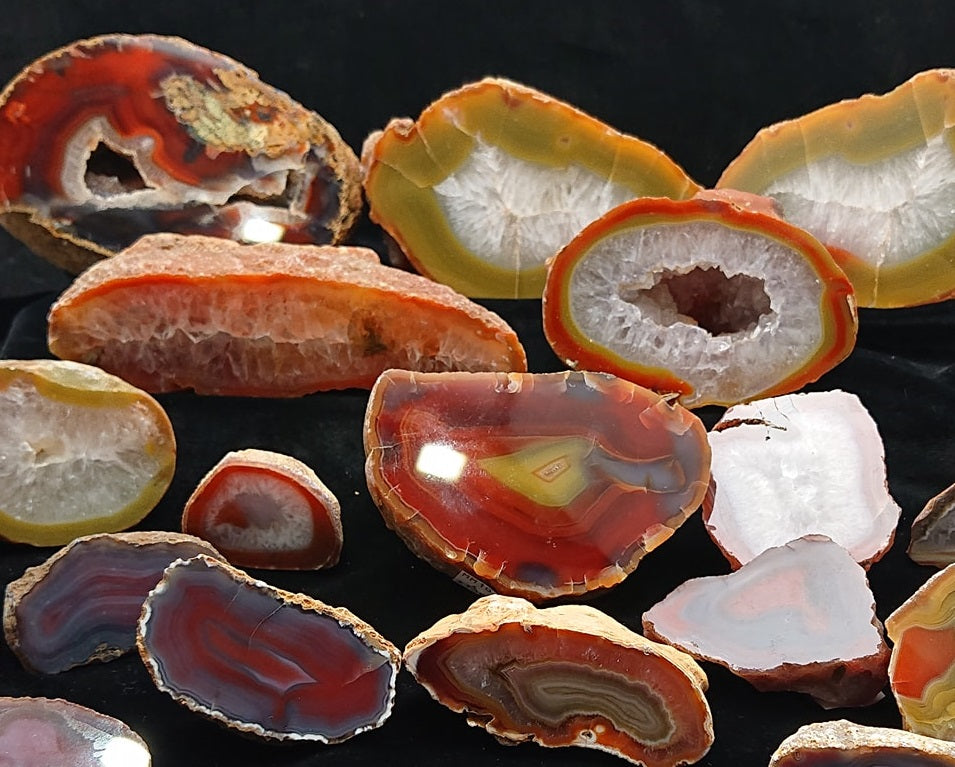 【コレクターズアイテム】アゲートクリーク・アゲート Agate Creek Agate, QLD – Crystal World Exhibition Centre and Sales