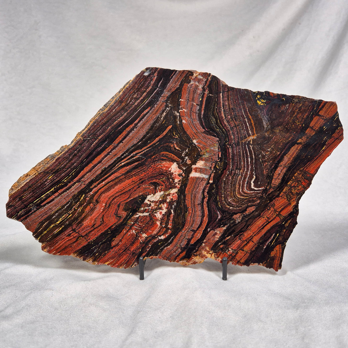 BANDED TIGER IRON MICROBIALITE, Archean, Australia ZBI006