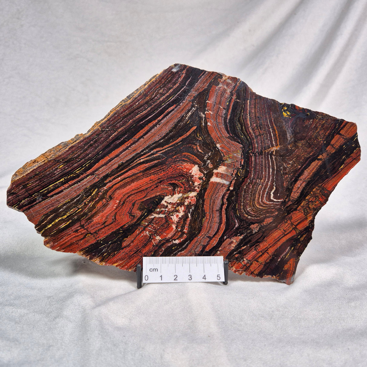 BANDED TIGER IRON MICROBIALITE, Archean, Australia ZBI006