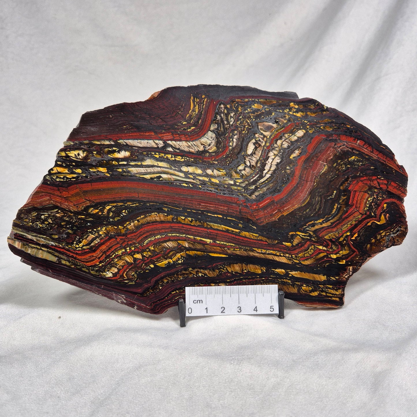 BANDED TIGER IRON MICROBIALITE, Archean, Australia ZBI007