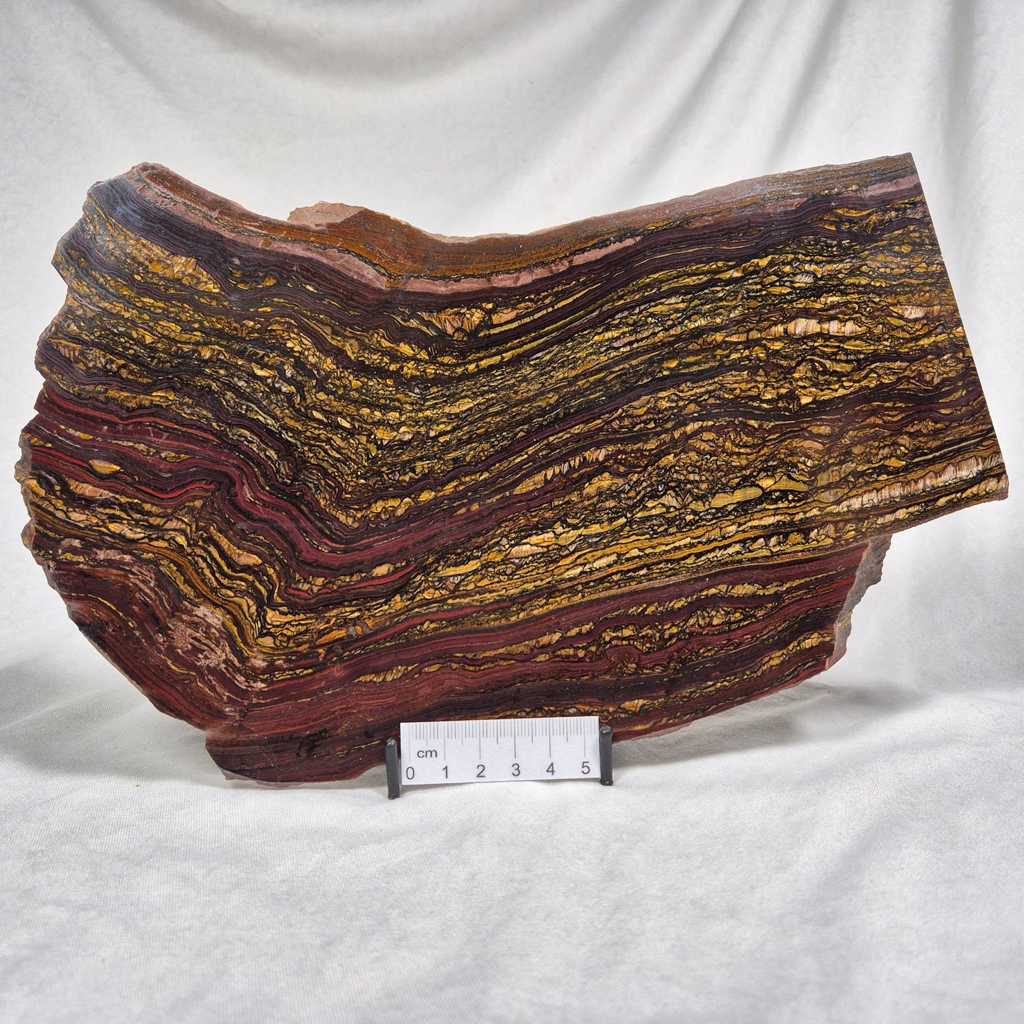 BANDED TIGER IRON MICROBIALITE, Archean, Australia ZBI008