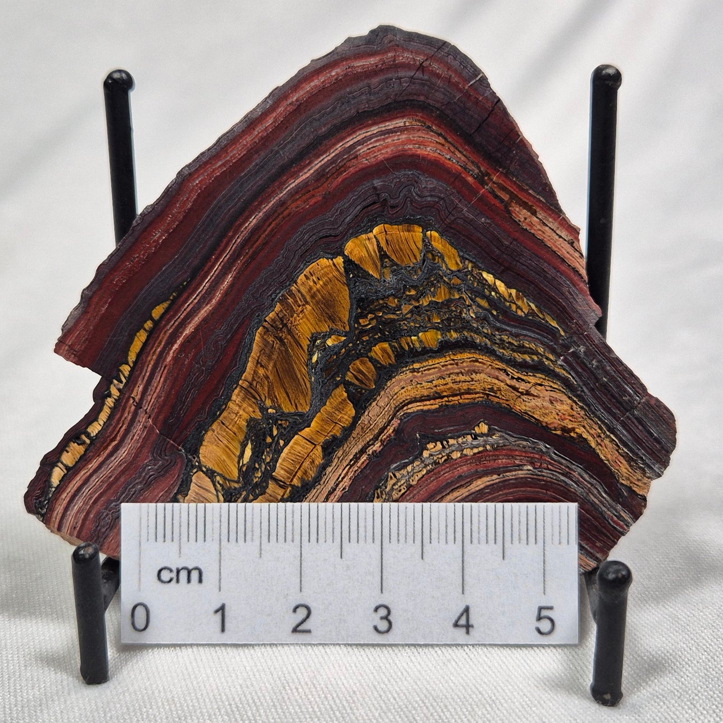 BANDED TIGER IRON MICROBIALITE, Archean, Australia ZBI009