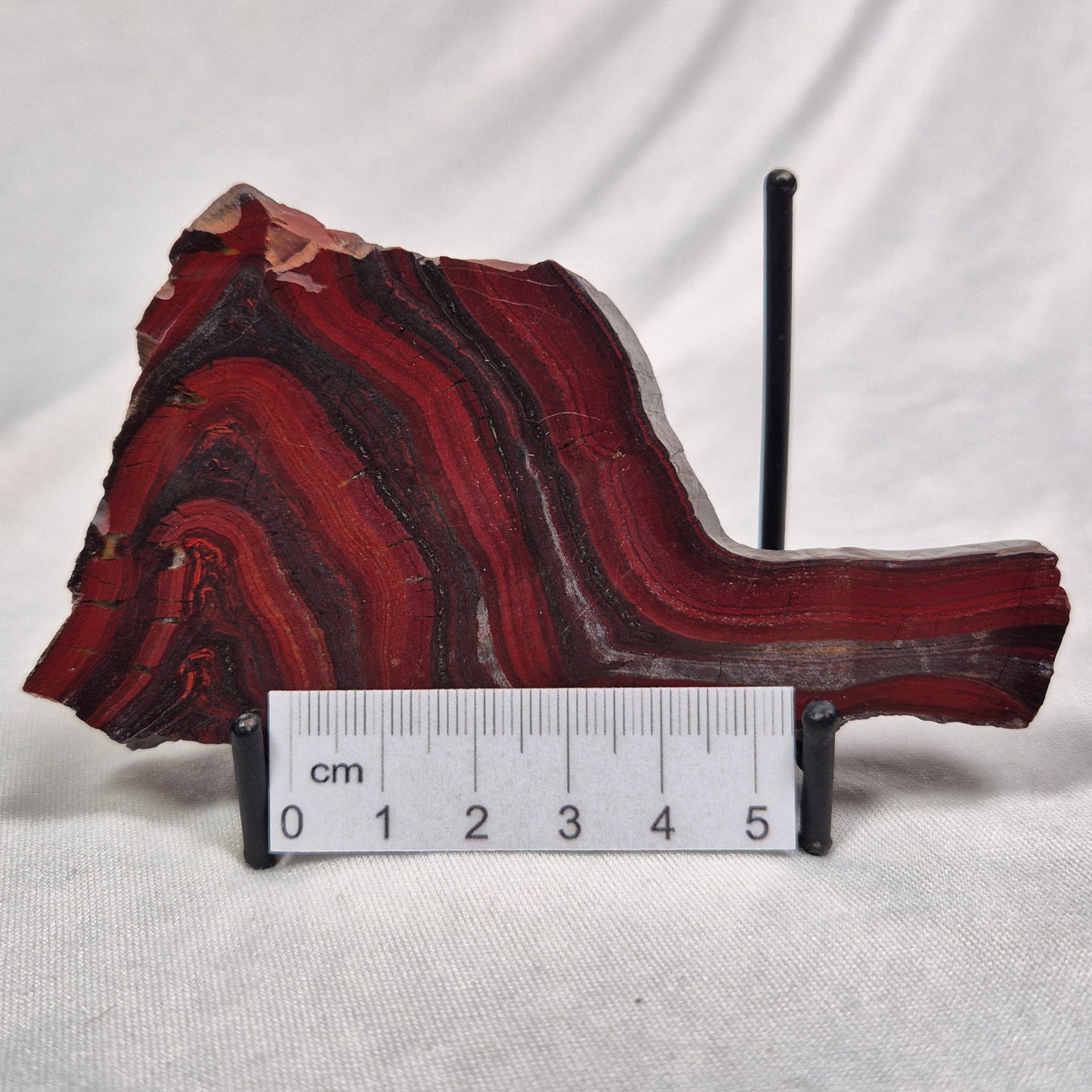 BANDED TIGER IRON MICROBIALITE, Archean, Australia ZBI010