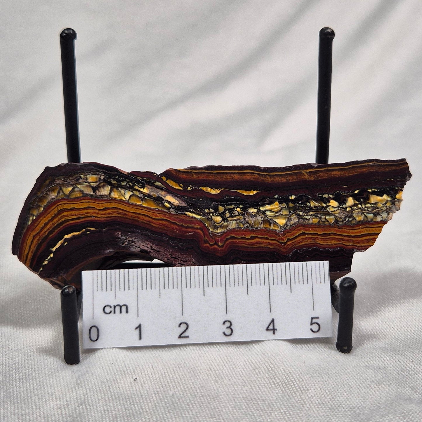 BANDED TIGER IRON MICROBIALITE, Archean, Australia ZBI011