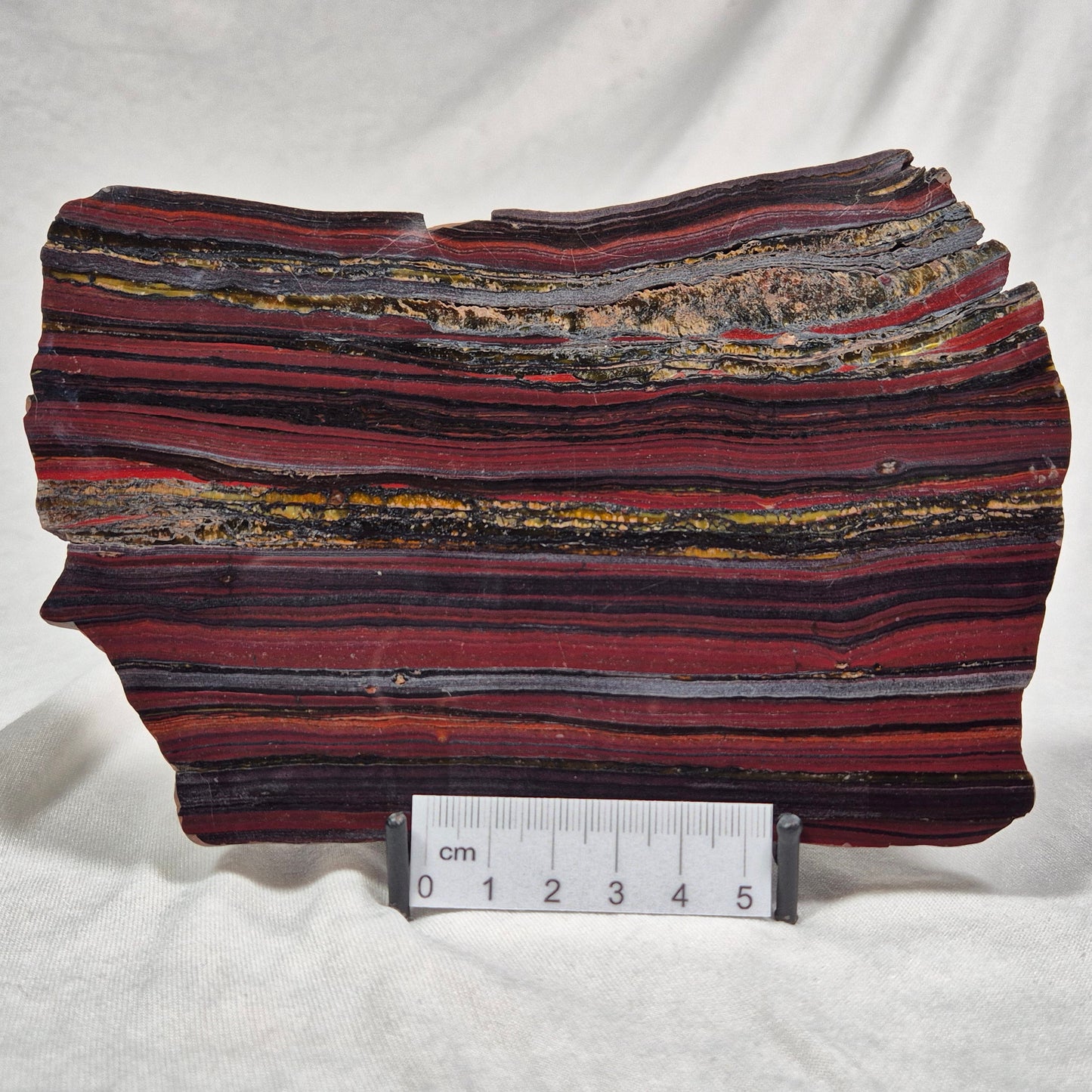 BANDED TIGER IRON MICROBIALITE, Archean, Australia ZBI012