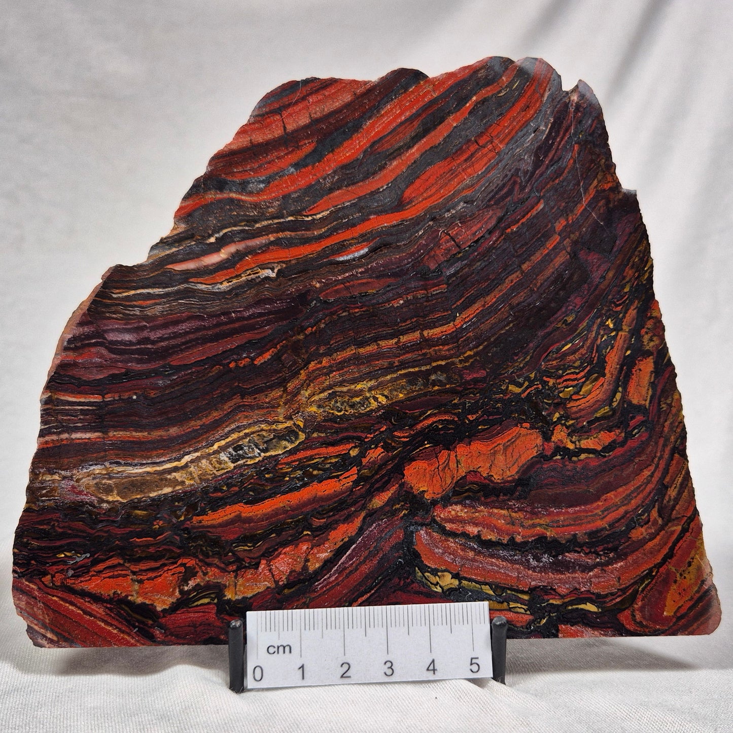BANDED TIGER IRON MICROBIALITE, Archean, Australia ZBI013
