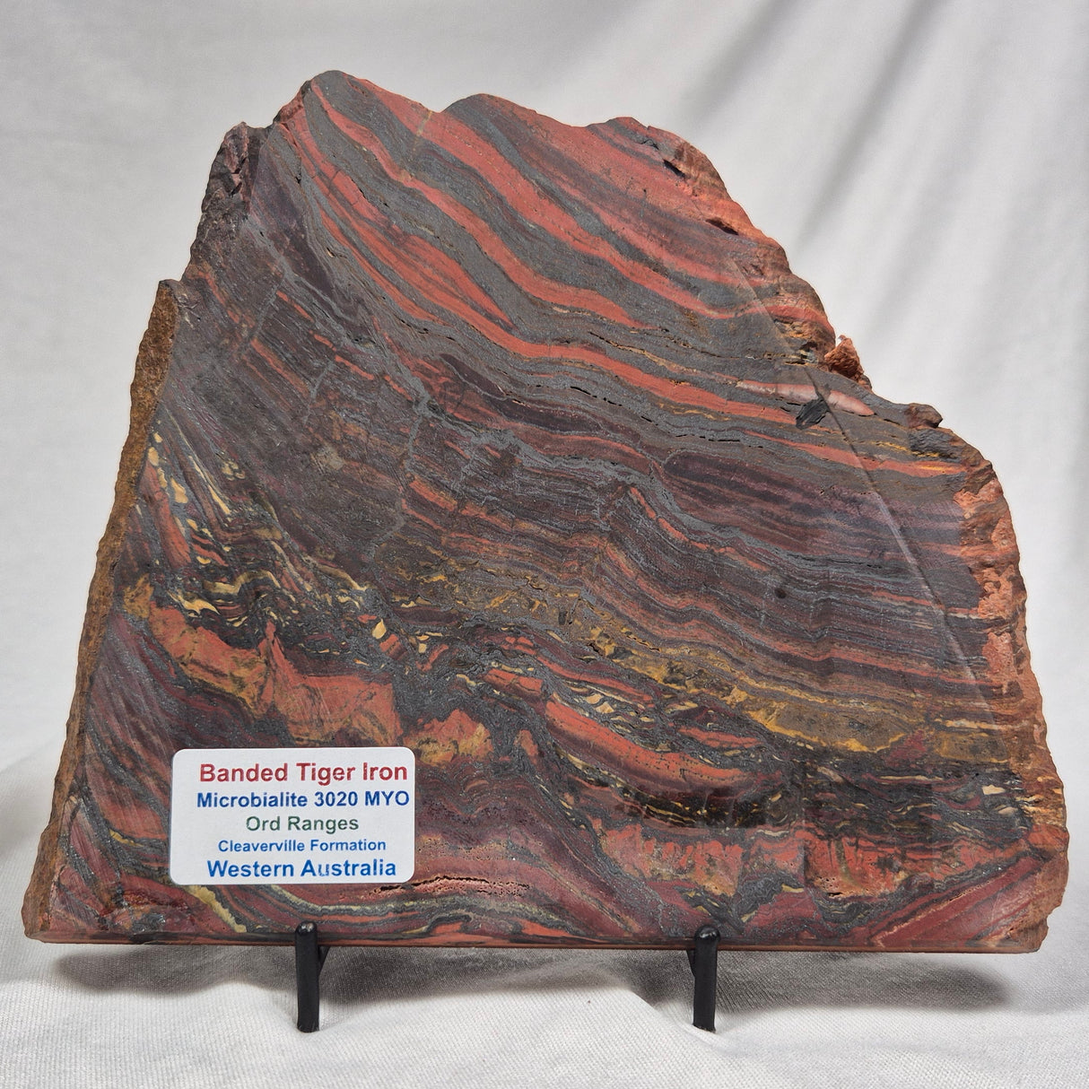BANDED TIGER IRON MICROBIALITE, Archean, Australia ZBI013