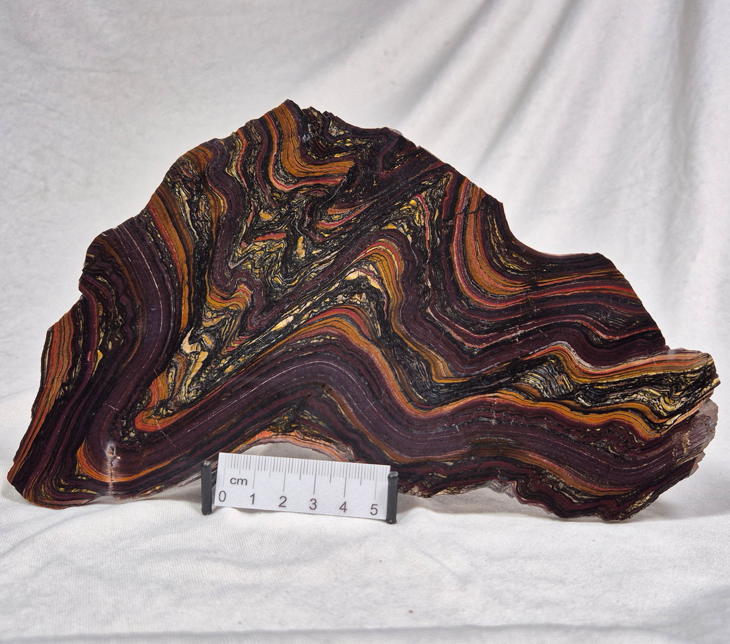 BANDED TIGER IRON MICROBIALITE, Archean, Australia ZBI014