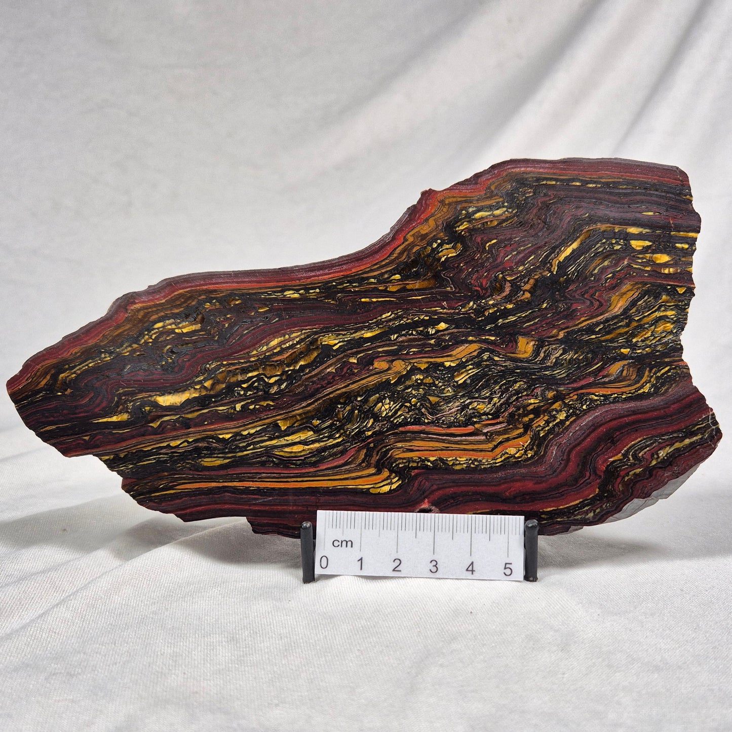 BANDED TIGER IRON MICROBIALITE, Archean, Australia ZBI015