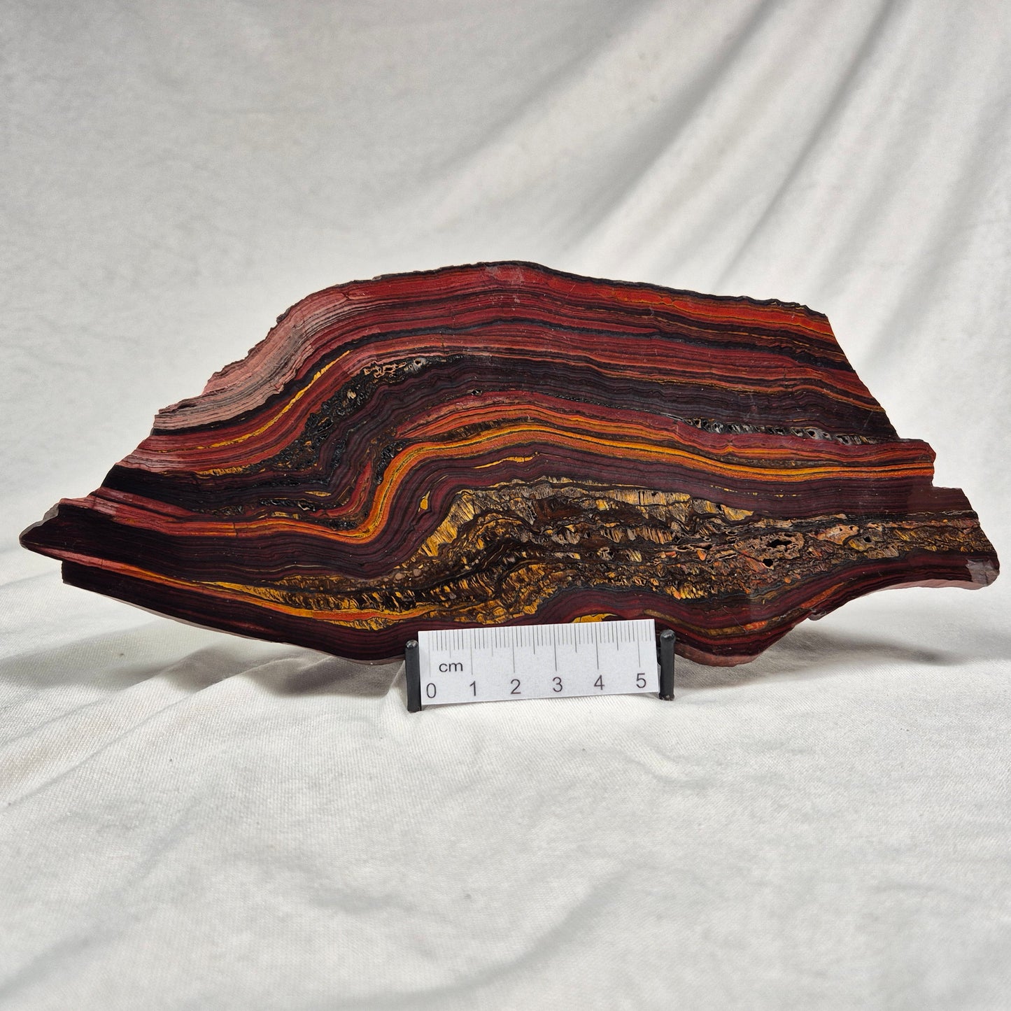 BANDED TIGER IRON MICROBIALITE, Archean, Australia ZBI016
