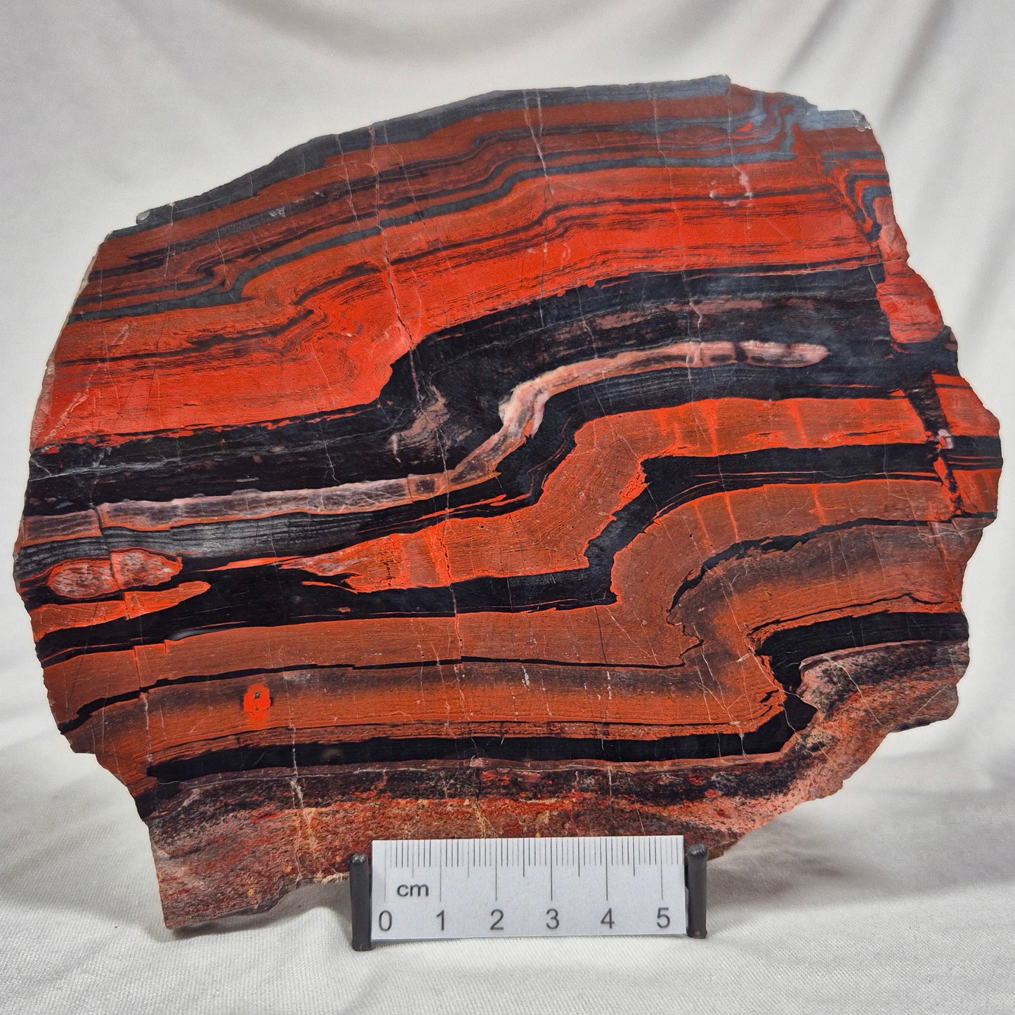 BANDED TIGER IRON MICROBIALITE, Archean, Australia ZBI018