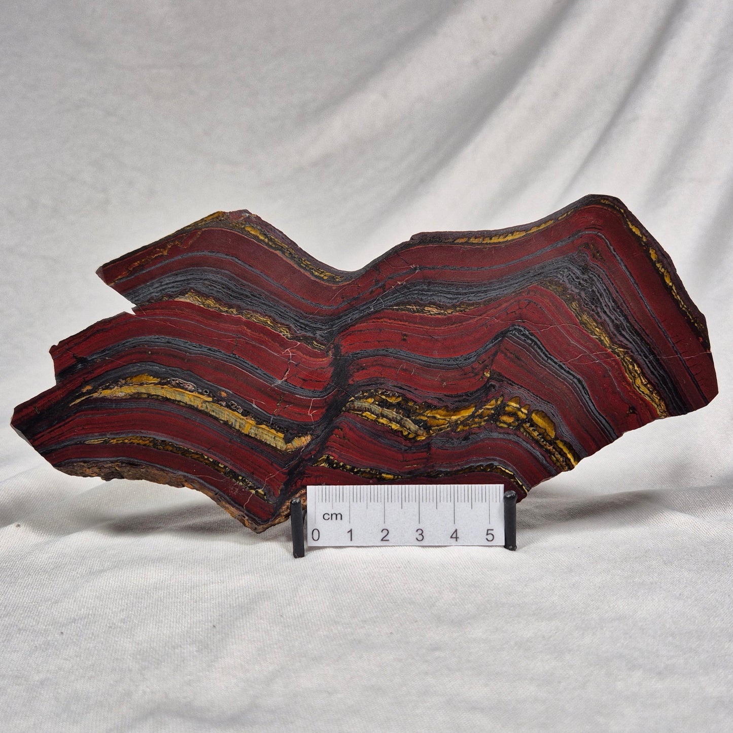 BANDED TIGER IRON MICROBIALITE, Archean, Australia ZBI019