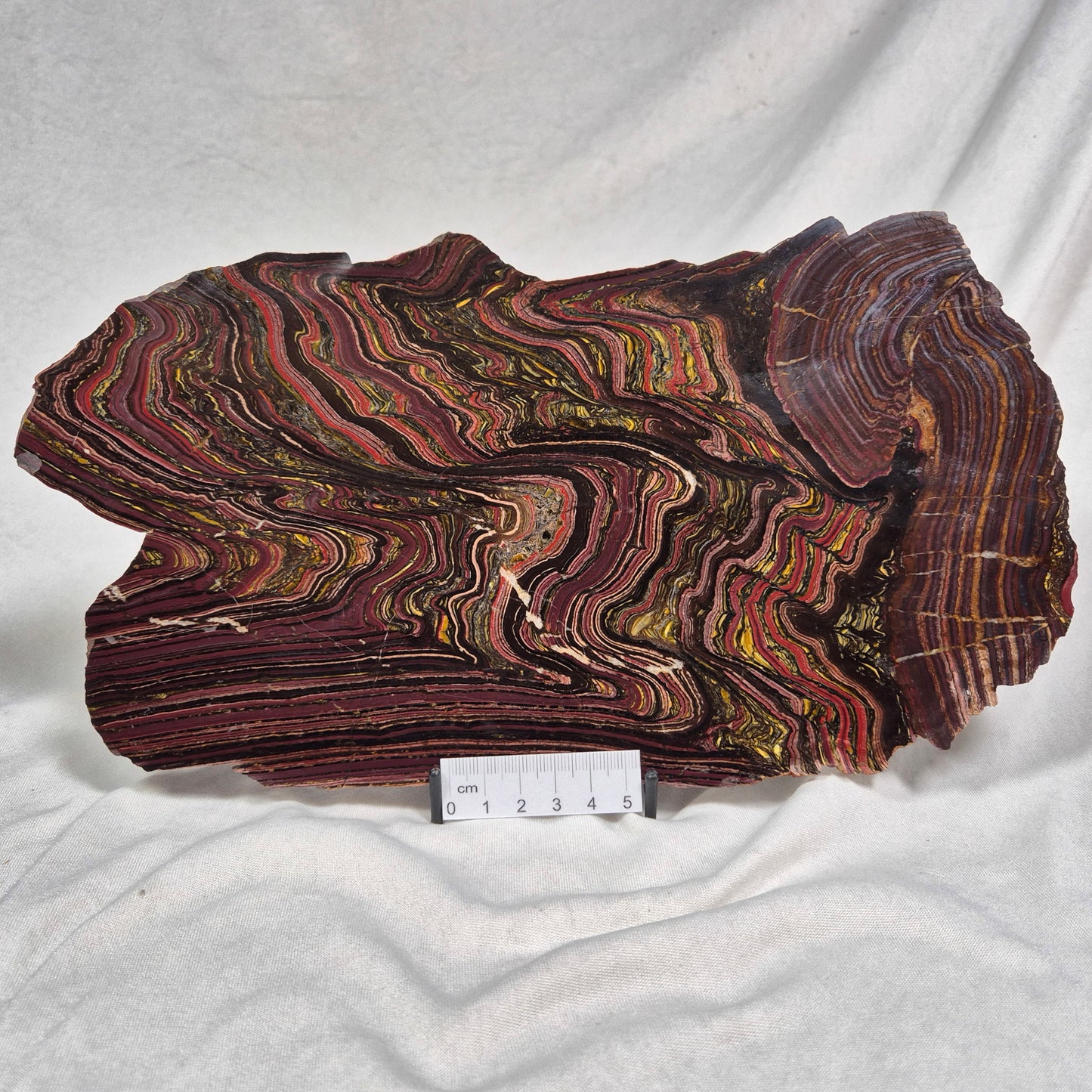 BANDED TIGER IRON MICROBIALITE, Archean, Australia ZBI020