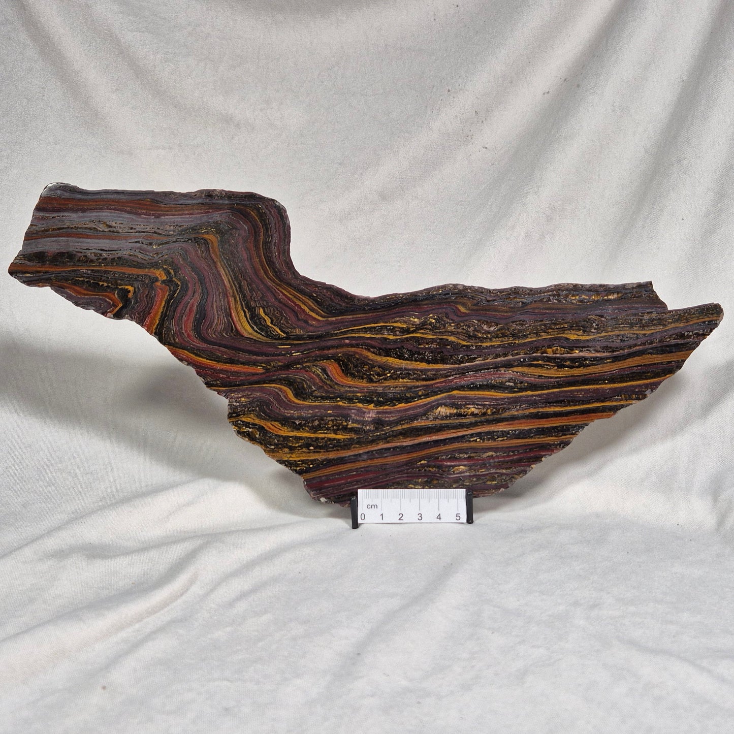 BANDED TIGER IRON MICROBIALITE, Archean, Australia ZBI021