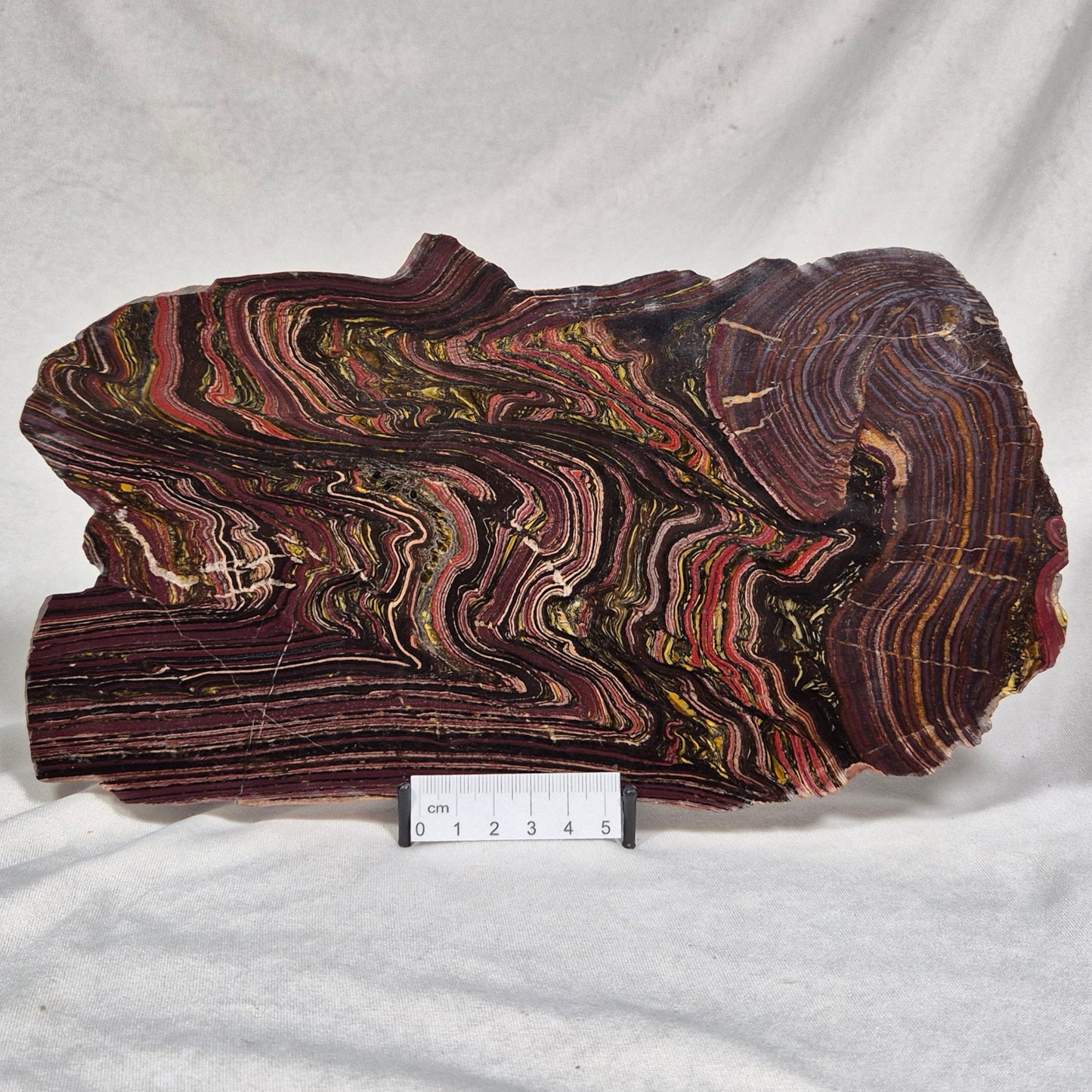BANDED TIGER IRON MICROBIALITE, Archean, Australia ZBI022
