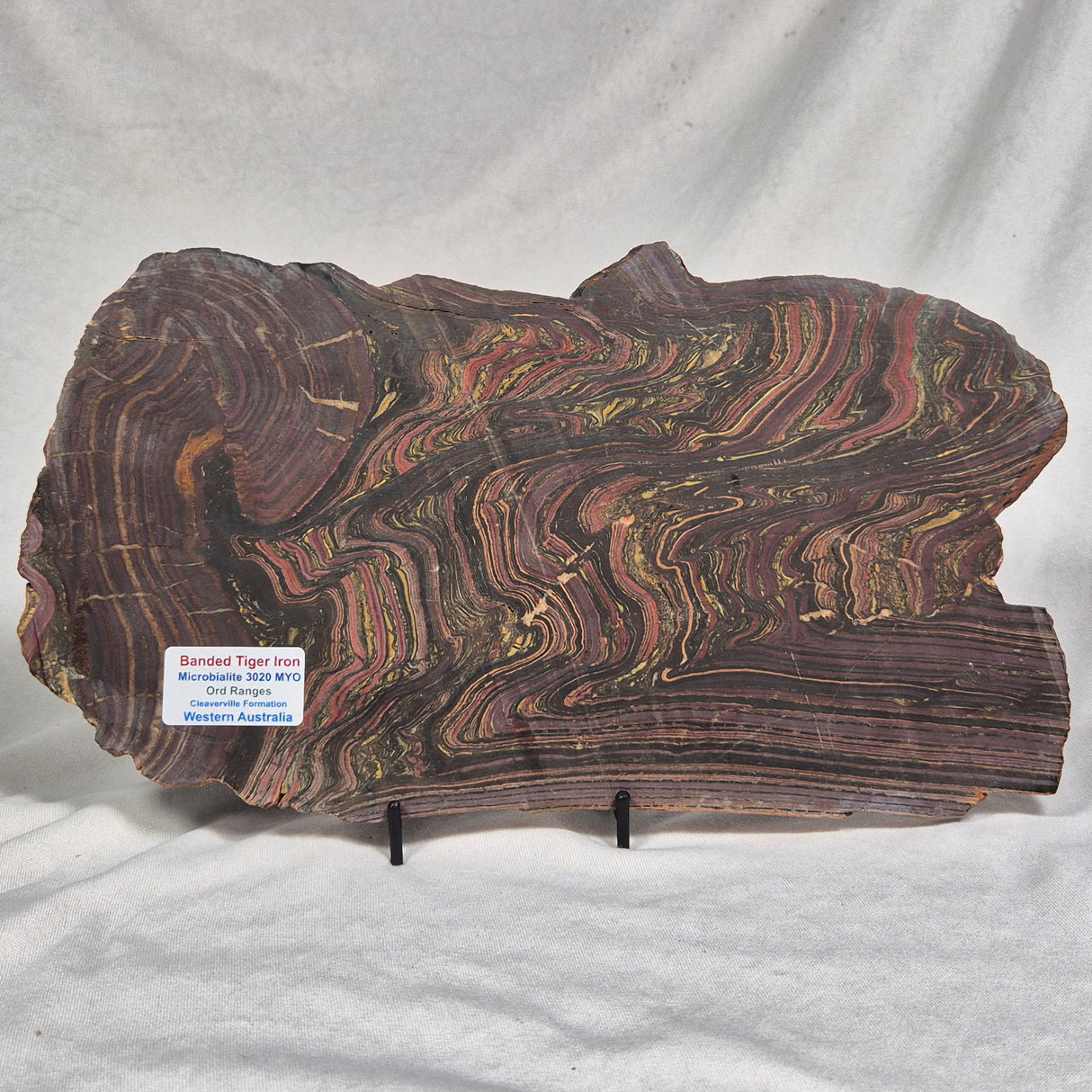 BANDED TIGER IRON MICROBIALITE, Archean, Australia ZBI022