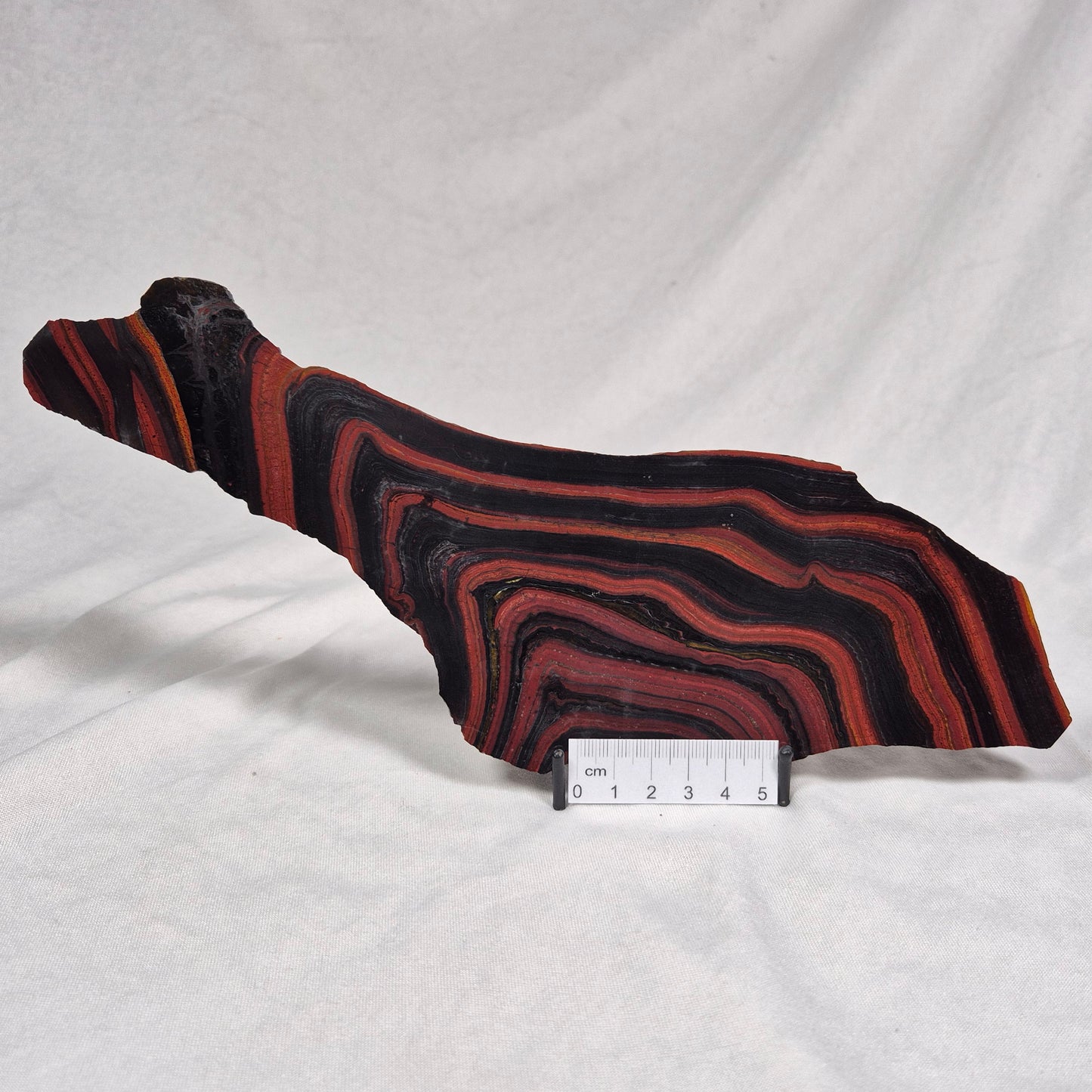 BANDED TIGER IRON MICROBIALITE, Archean, Australia ZBI023