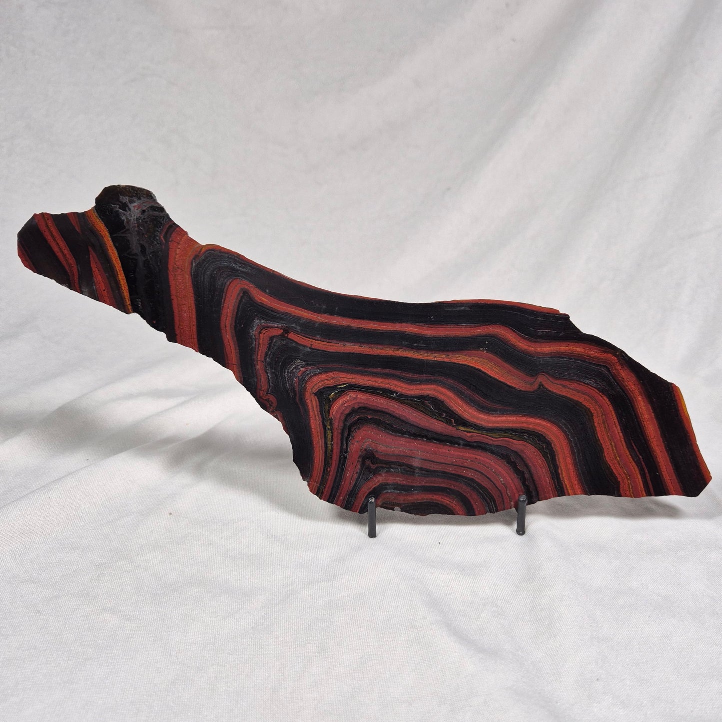 BANDED TIGER IRON MICROBIALITE, Archean, Australia ZBI023