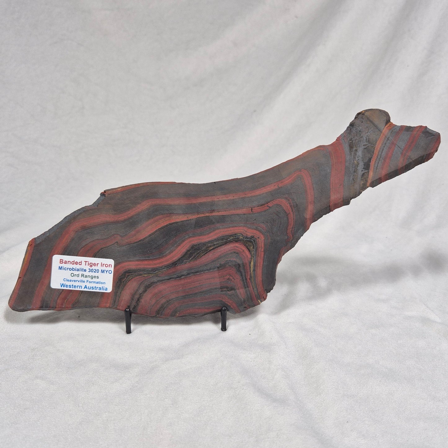 BANDED TIGER IRON MICROBIALITE, Archean, Australia ZBI023