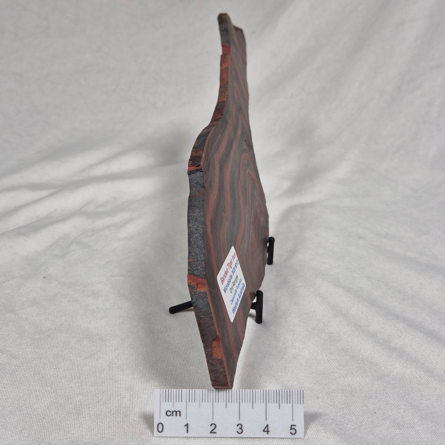 BANDED TIGER IRON MICROBIALITE, Archean, Australia ZBI023