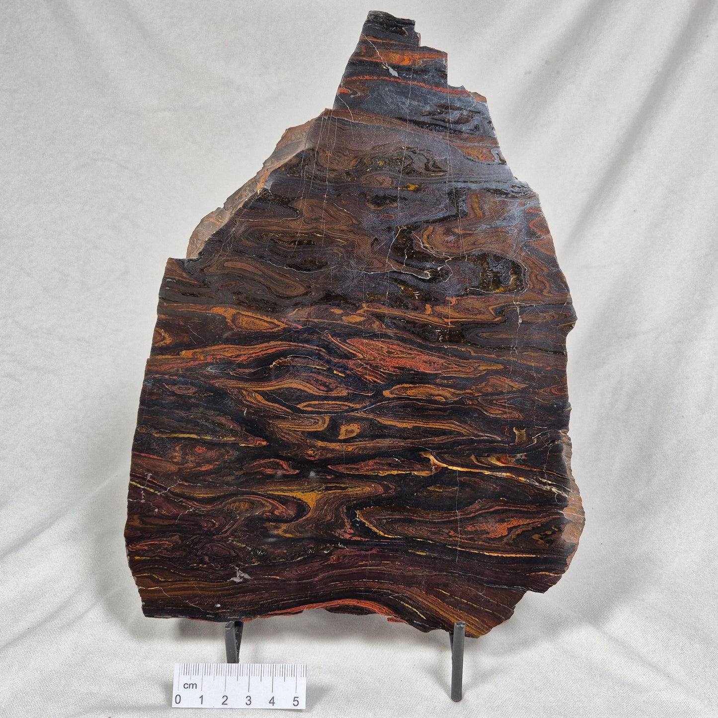 BANDED TIGER IRON MICROBIALITE, Archean, Australia ZBI024