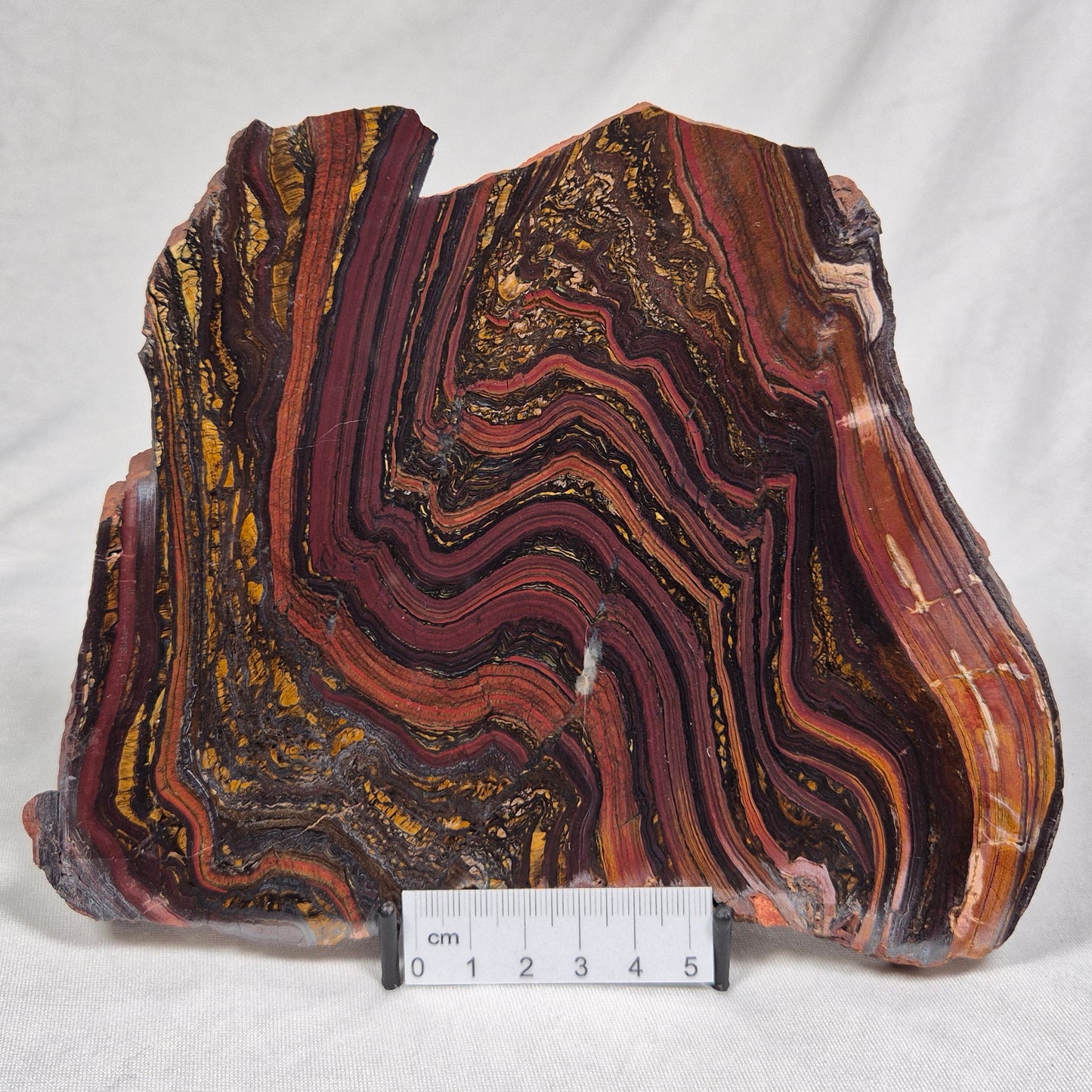BANDED TIGER IRON MICROBIALITE, Archean, Australia ZBI025