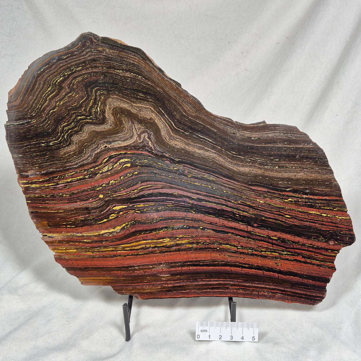 BANDED TIGER IRON MICROBIALITE, Archean, Australia ZBI026