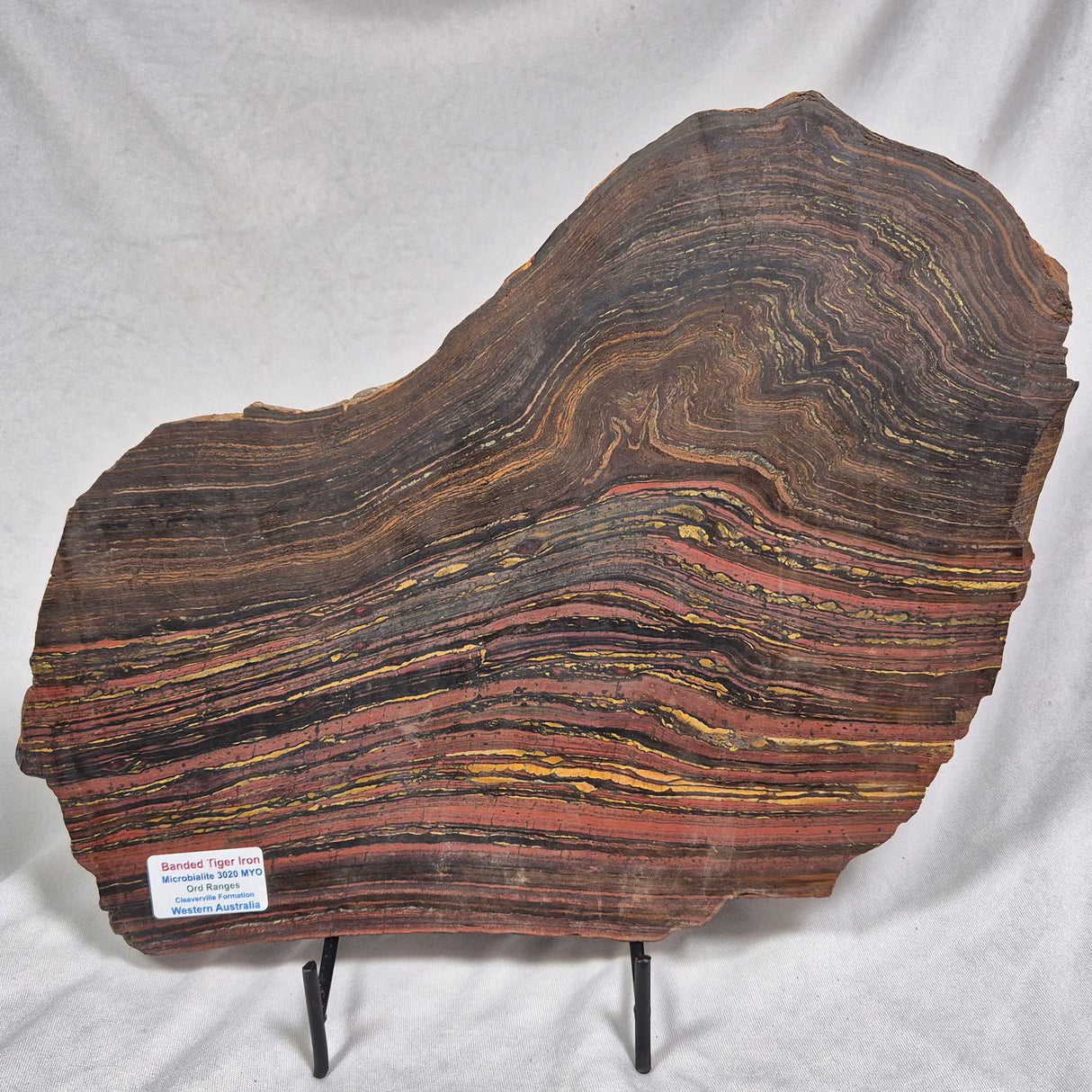 BANDED TIGER IRON MICROBIALITE, Archean, Australia ZBI026