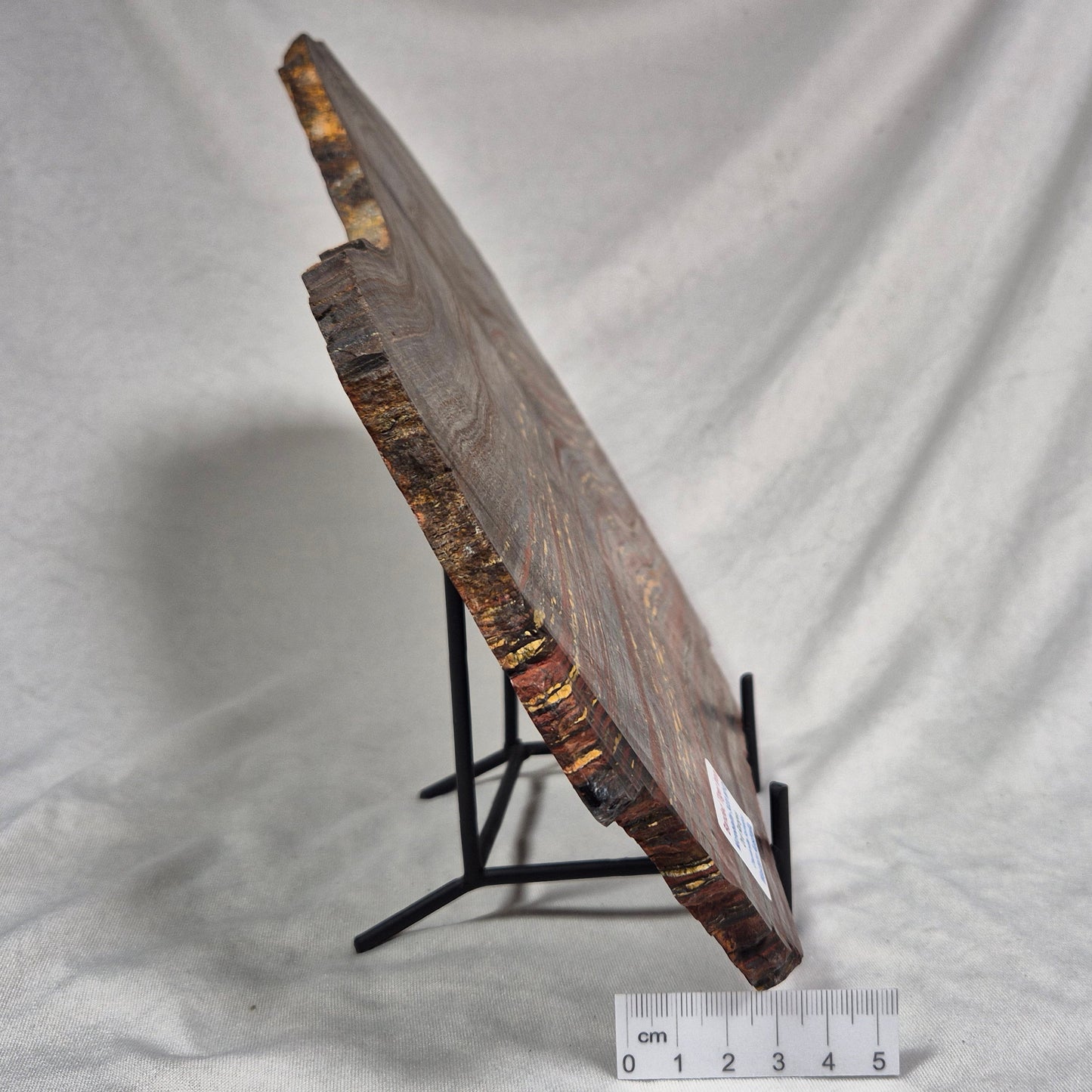 BANDED TIGER IRON MICROBIALITE, Archean, Australia ZBI026