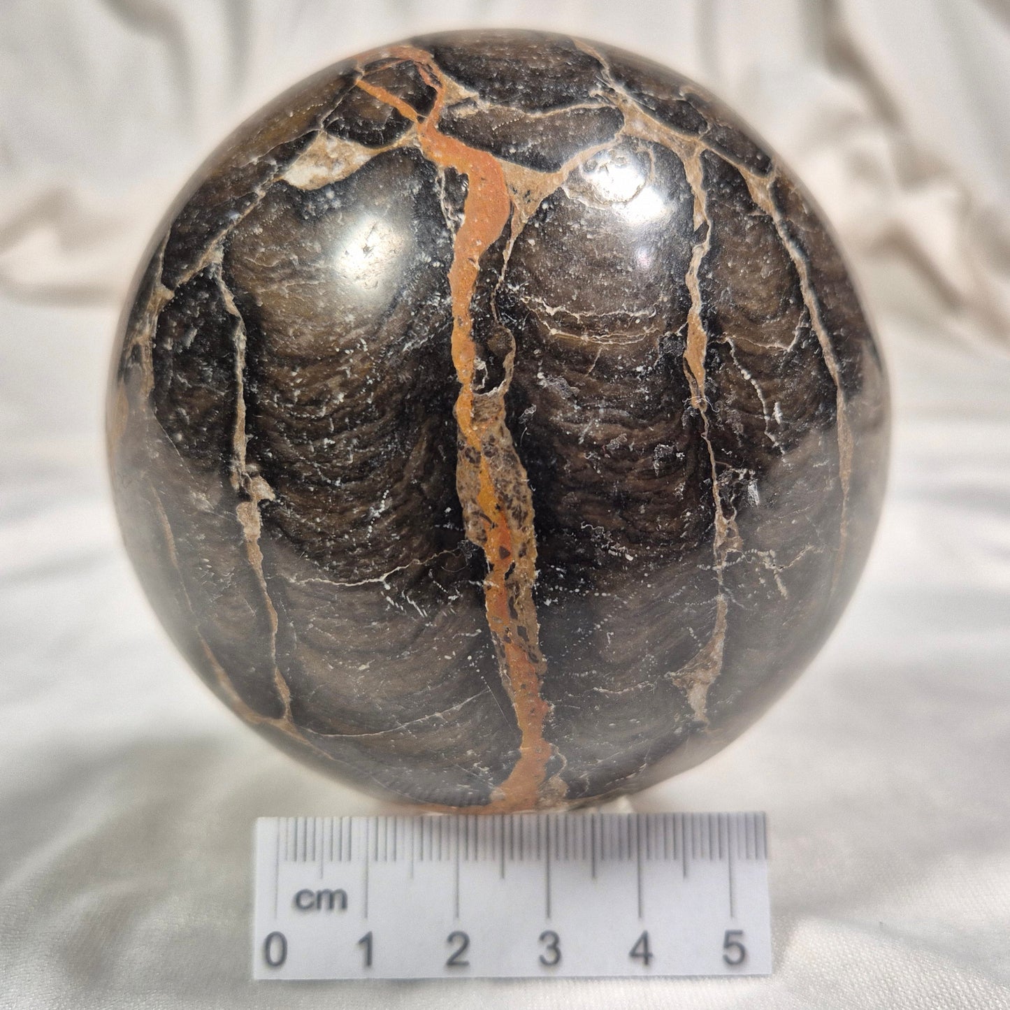 BOXONIA PERTAKNURRA STROMATOLITE, Proterozoic, Australia ZSS003