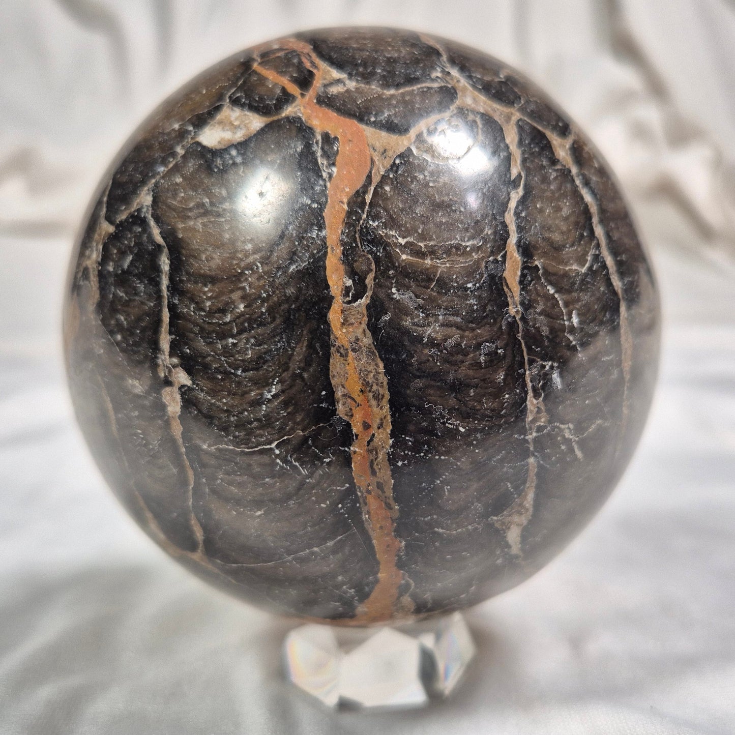 BOXONIA PERTAKNURRA STROMATOLITE, Proterozoic, Australia ZSS003