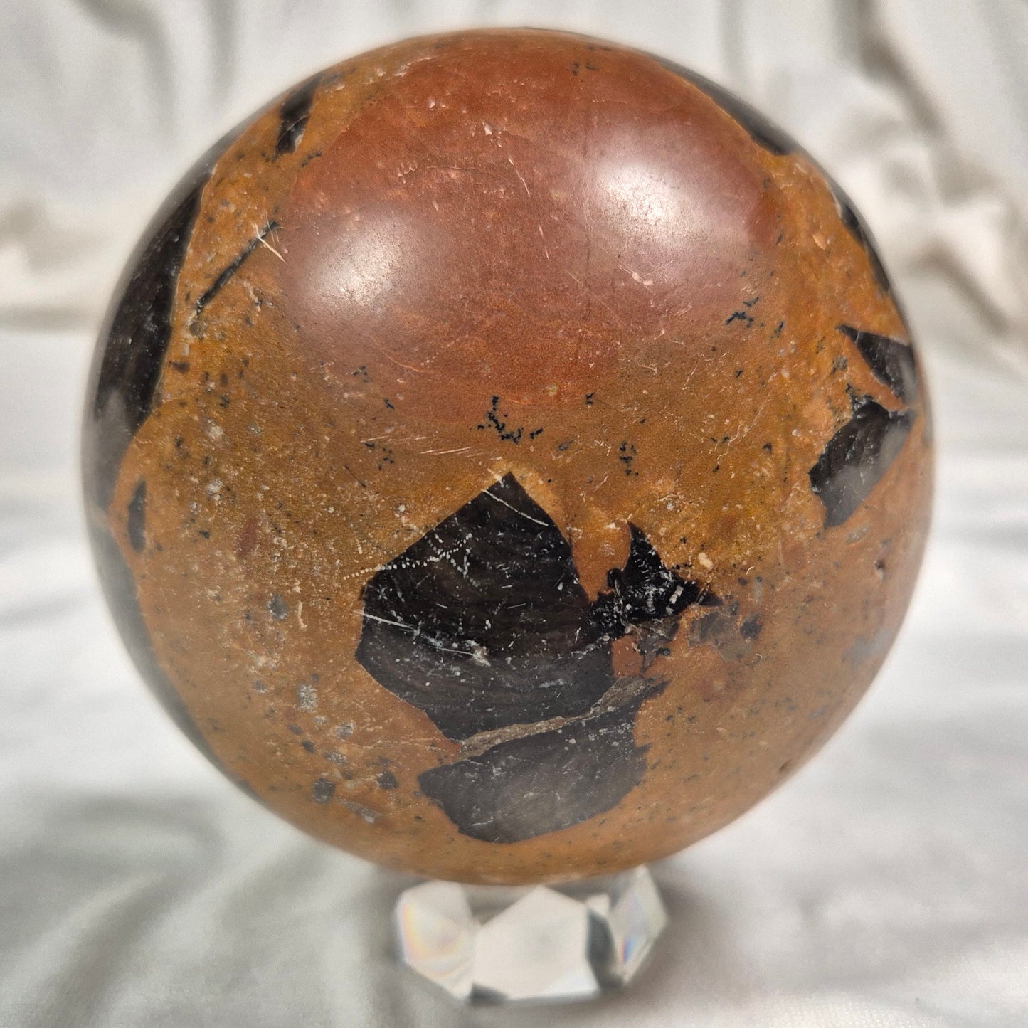 BOXONIA PERTAKNURRA STROMATOLITE, Proterozoic, Australia ZSS003