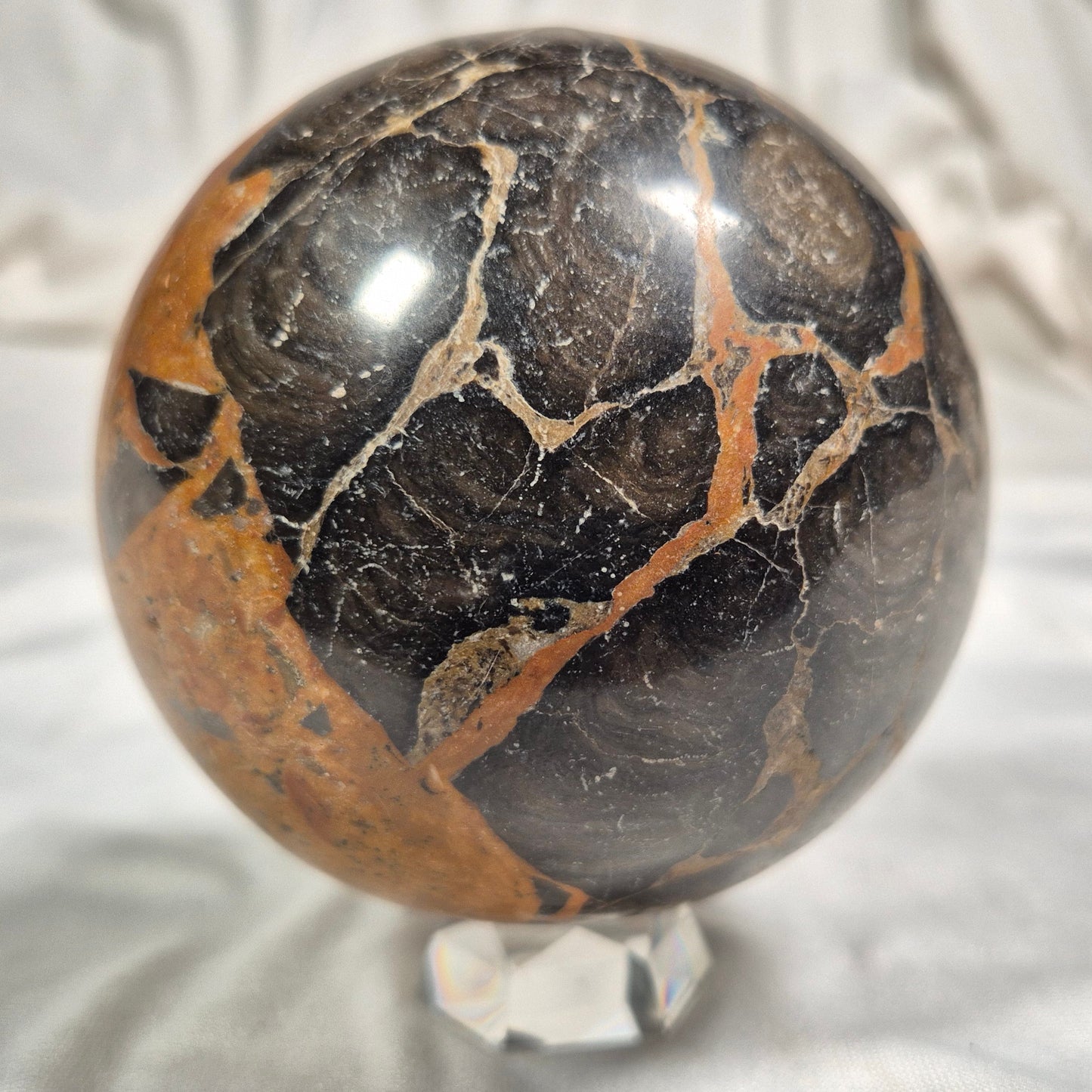 BOXONIA PERTAKNURRA STROMATOLITE, Proterozoic, Australia ZSS003