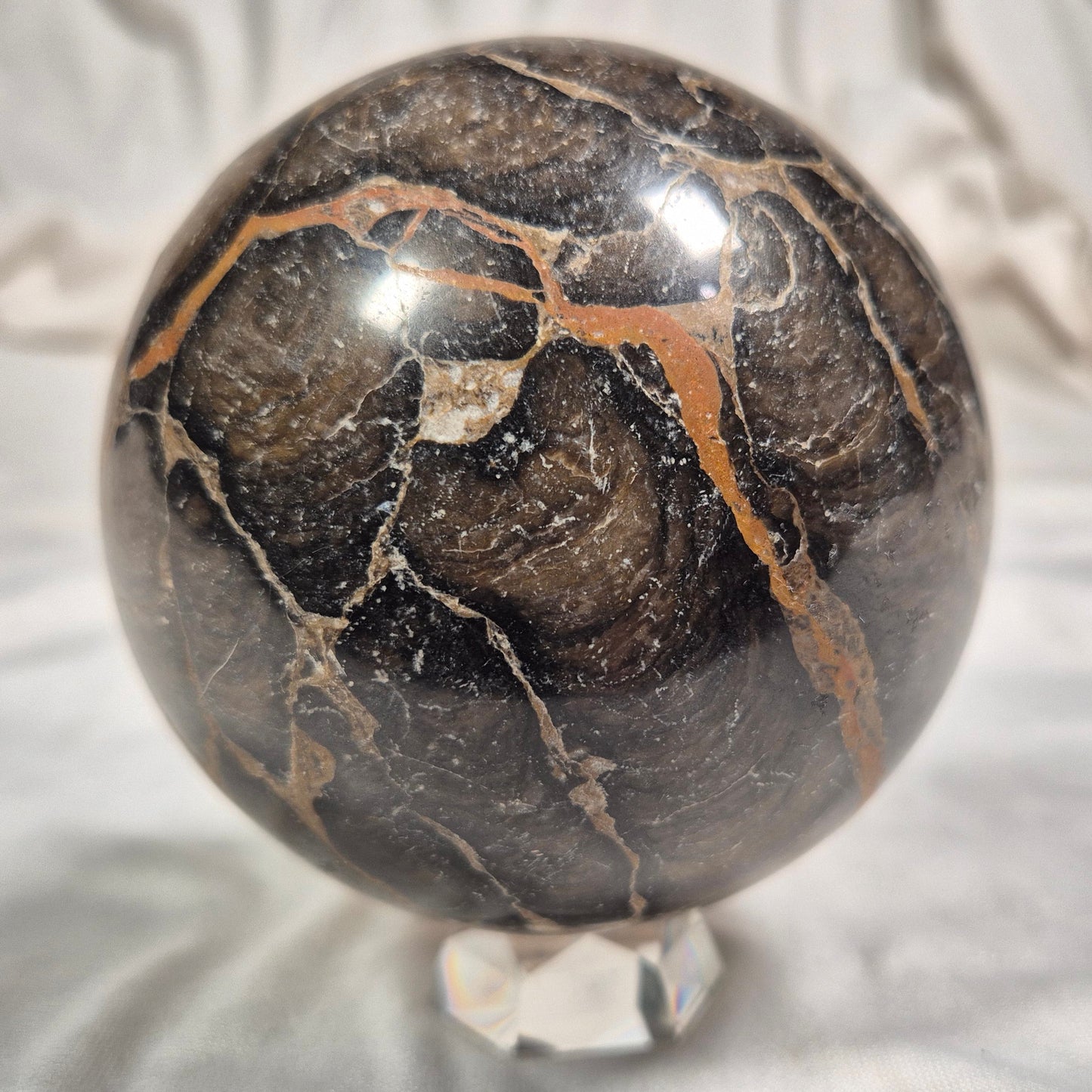 BOXONIA PERTAKNURRA STROMATOLITE, Proterozoic, Australia ZSS003