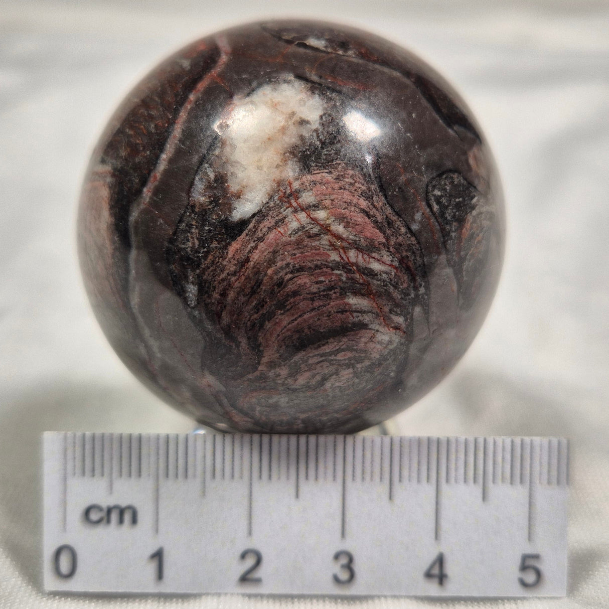 INZERIA INTIA STROMATOLITE, Proterozoic, Australia ZSS004