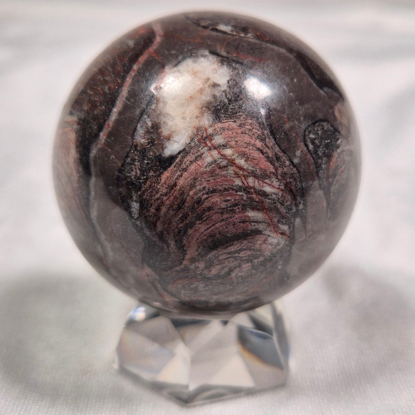 INZERIA INTIA STROMATOLITE, Proterozoic, Australia ZSS004