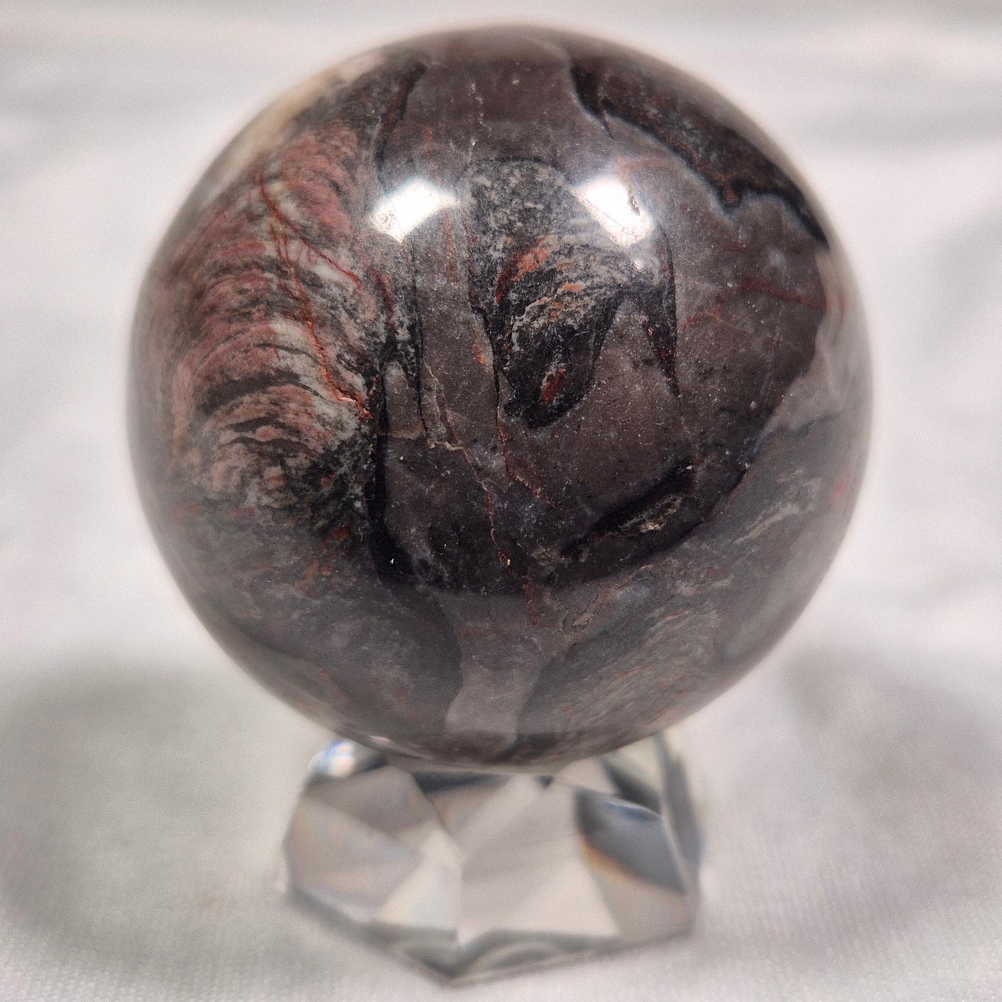 INZERIA INTIA STROMATOLITE, Proterozoic, Australia ZSS004