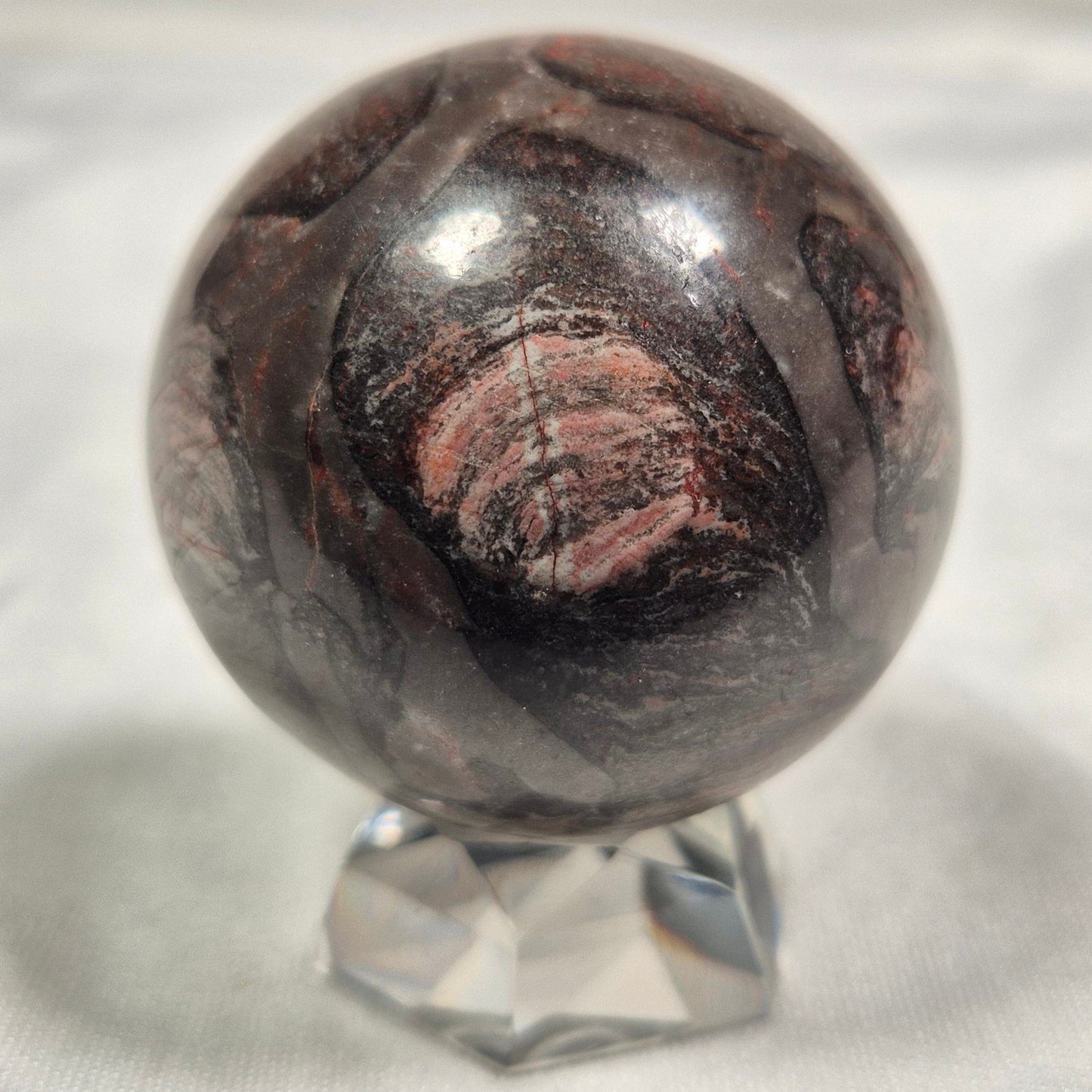 INZERIA INTIA STROMATOLITE, Proterozoic, Australia ZSS004