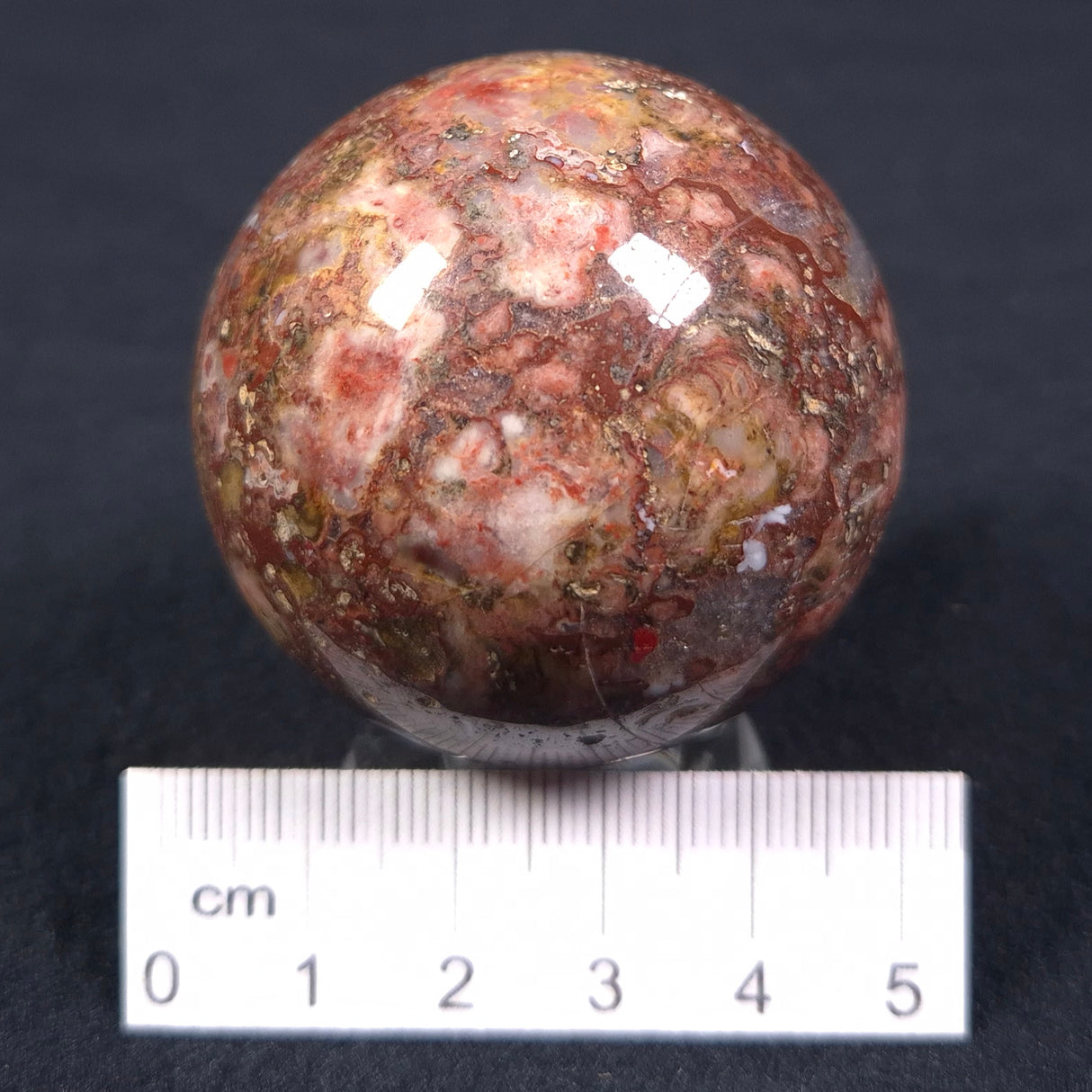 MADIGANITES MAWSONI STROMATOLITE, Cambrian, Australia ZSS011