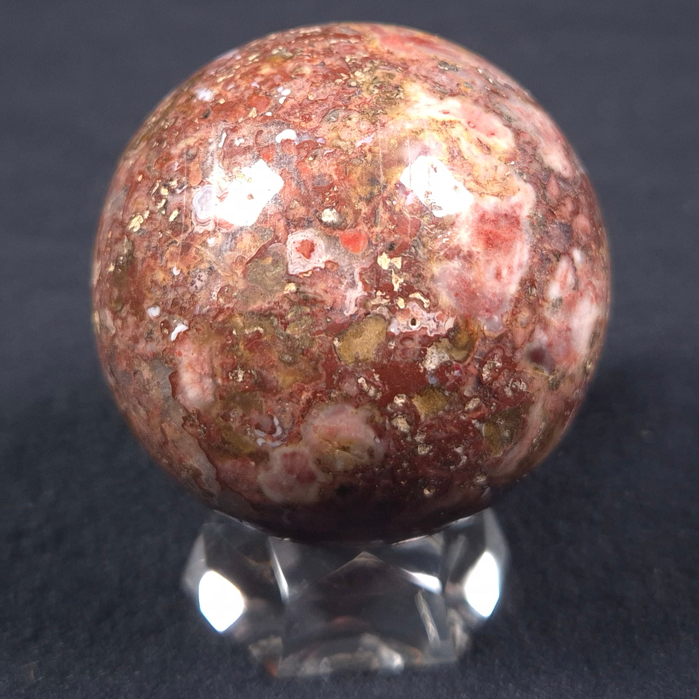 MADIGANITES MAWSONI STROMATOLITE, Cambrian, Australia ZSS011