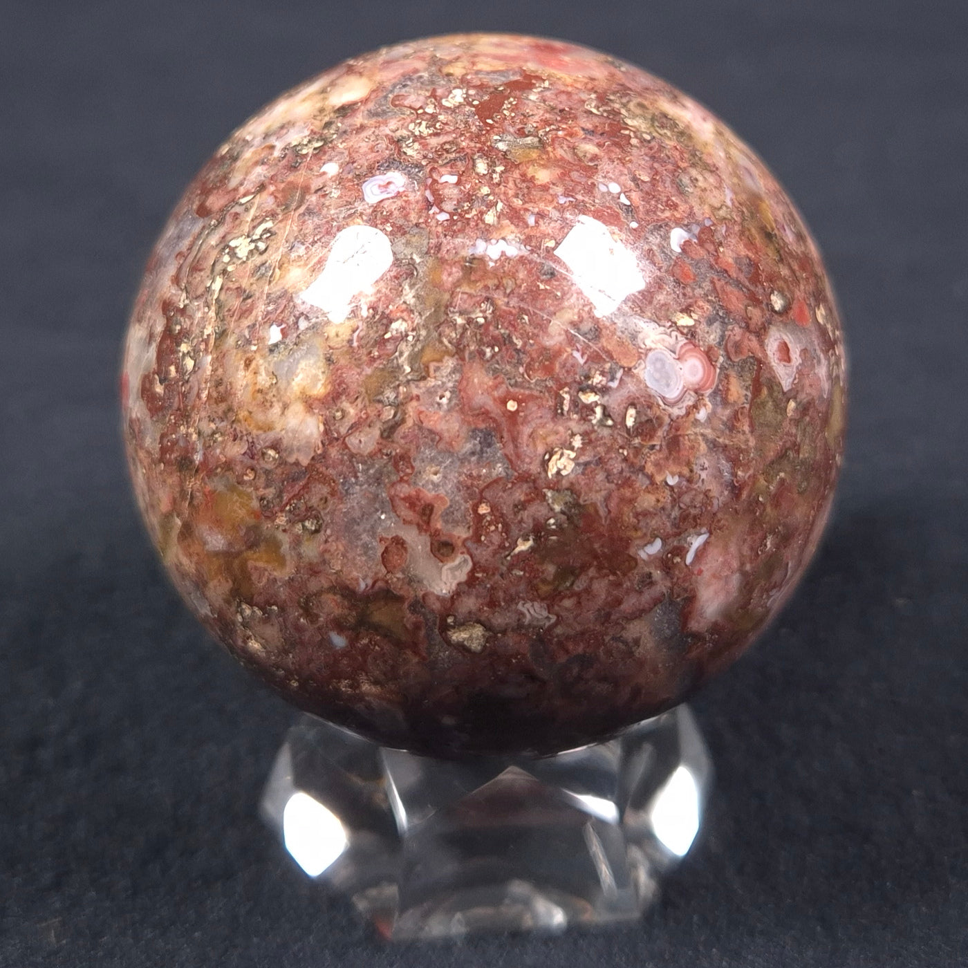 MADIGANITES MAWSONI STROMATOLITE, Cambrian, Australia ZSS011