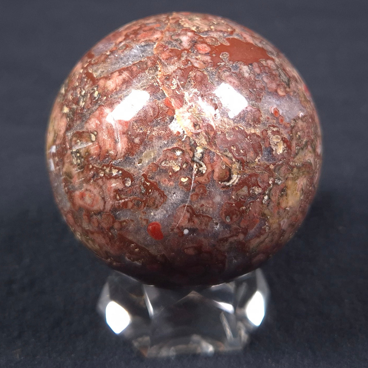 MADIGANITES MAWSONI STROMATOLITE, Cambrian, Australia ZSS011