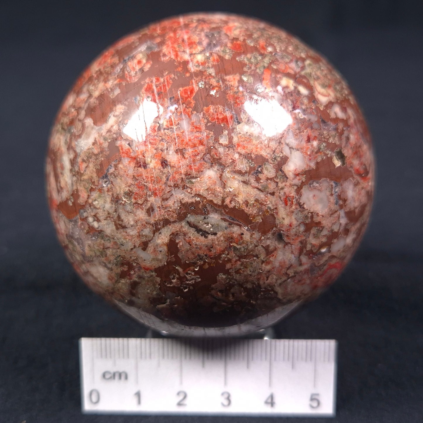MADIGANITES MAWSONI STROMATOLITE, Cambrian, Australia ZSS012