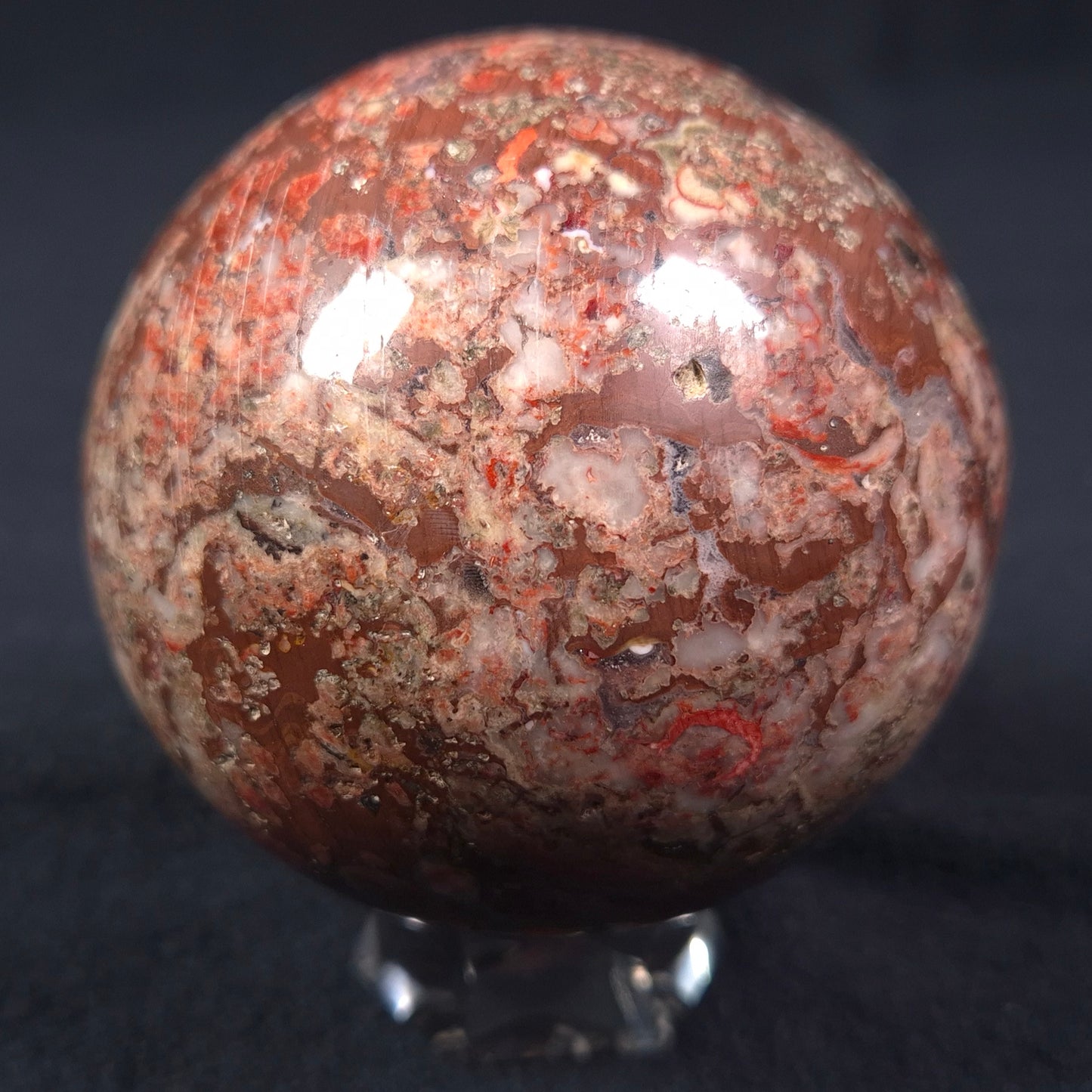 MADIGANITES MAWSONI STROMATOLITE, Cambrian, Australia ZSS012