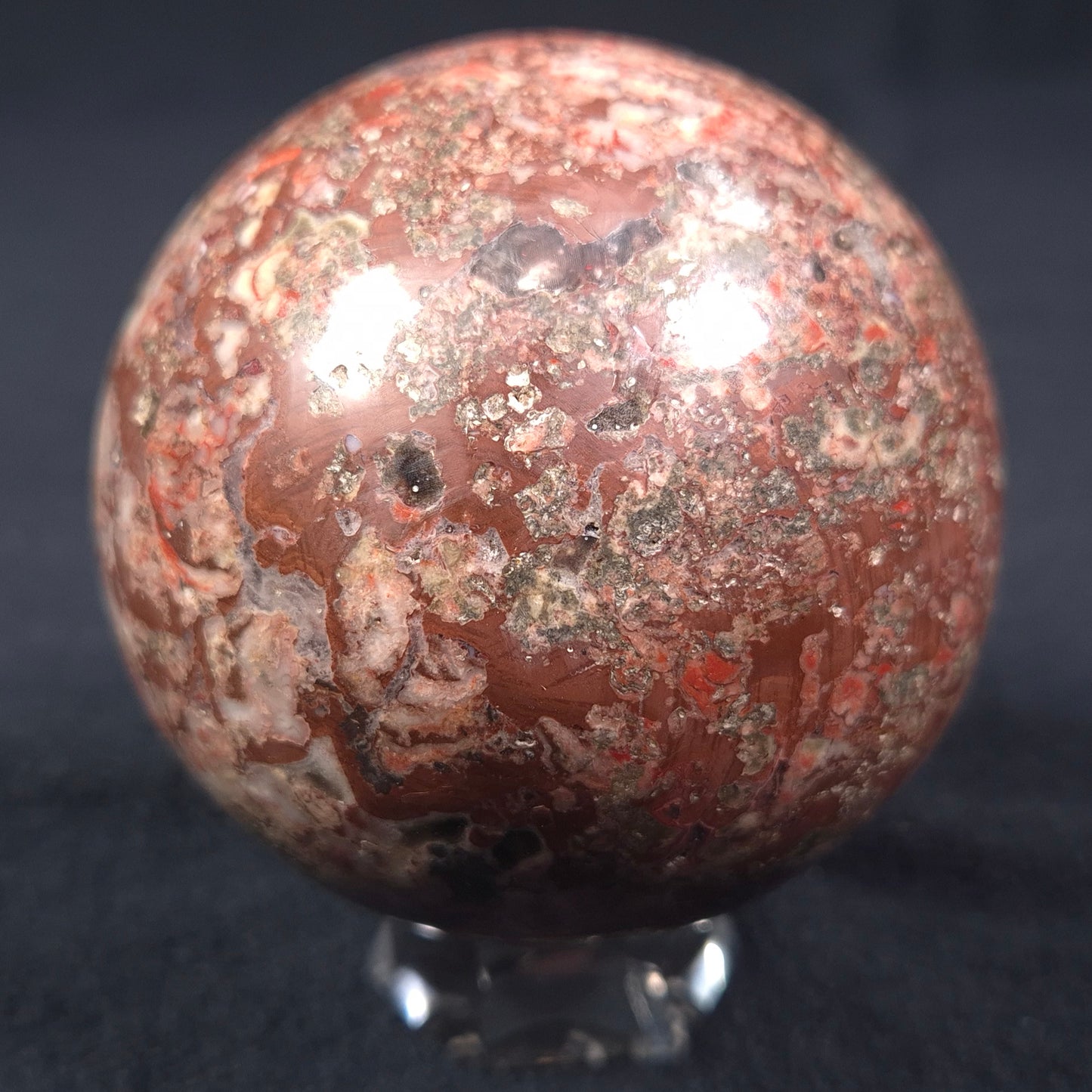 MADIGANITES MAWSONI STROMATOLITE, Cambrian, Australia ZSS012