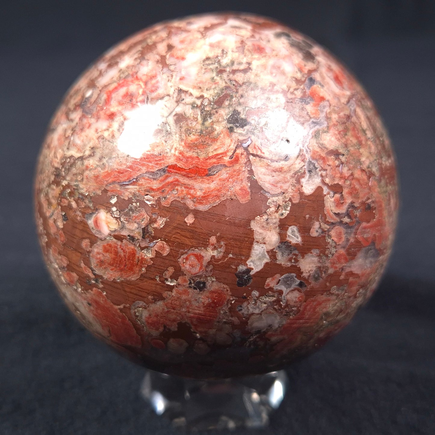 MADIGANITES MAWSONI STROMATOLITE, Cambrian, Australia ZSS012