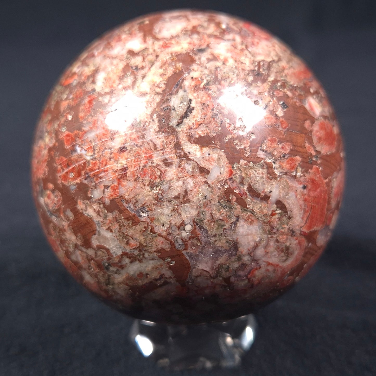 MADIGANITES MAWSONI STROMATOLITE, Cambrian, Australia ZSS012