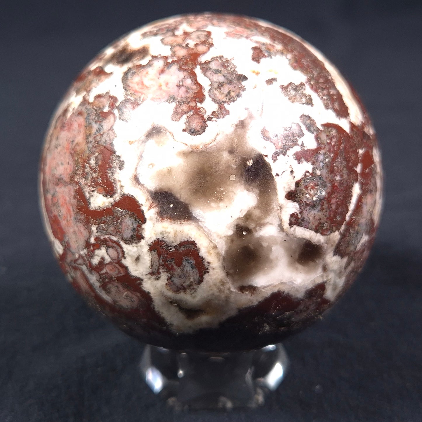 MADIGANITES MAWSONI STROMATOLITE, Cambrian, Australia ZSS014